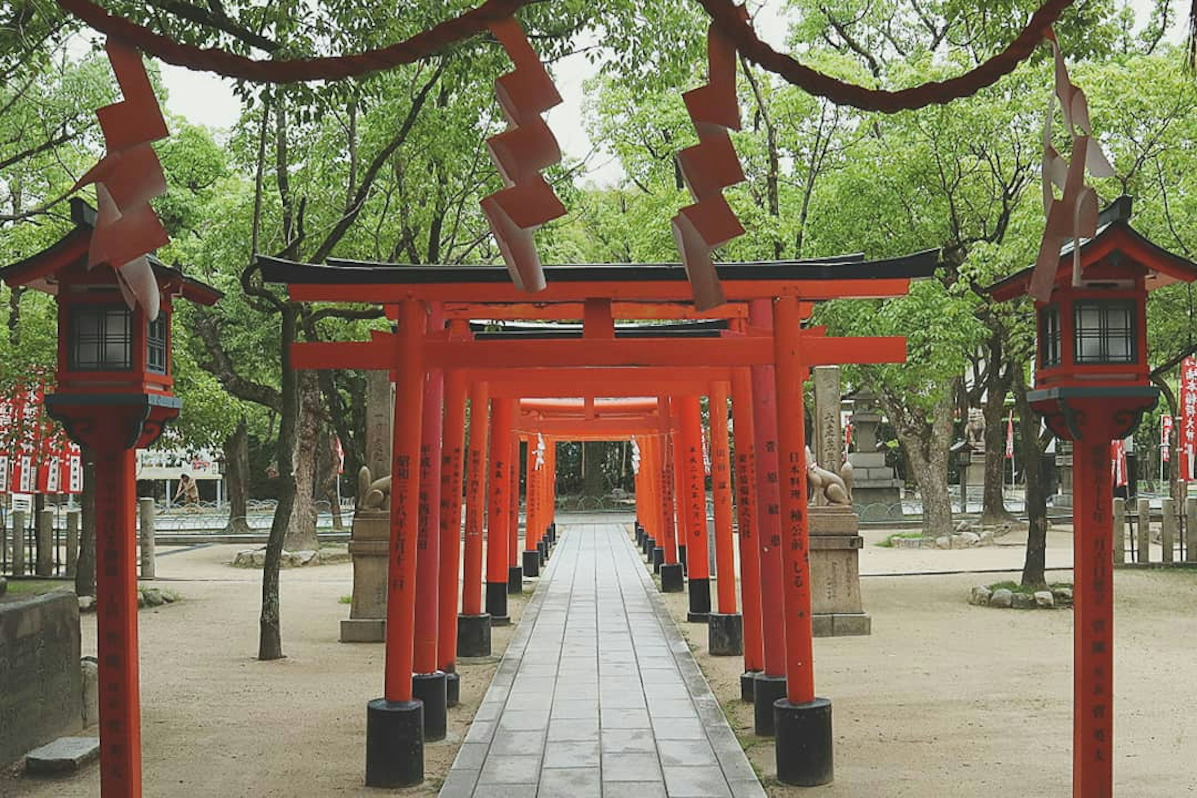 赤い鳥居が並ぶ静かな神社の通路 緑の木々に囲まれた場所