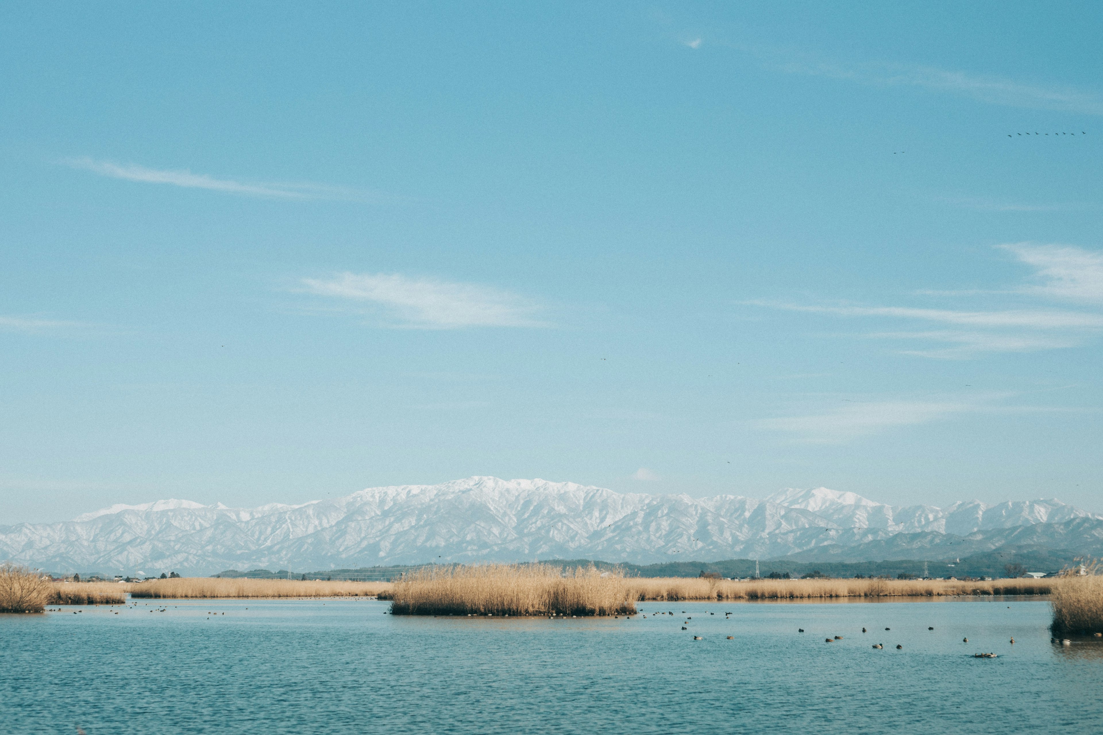 Vista escénica de un lago con montañas nevadas bajo un cielo azul claro