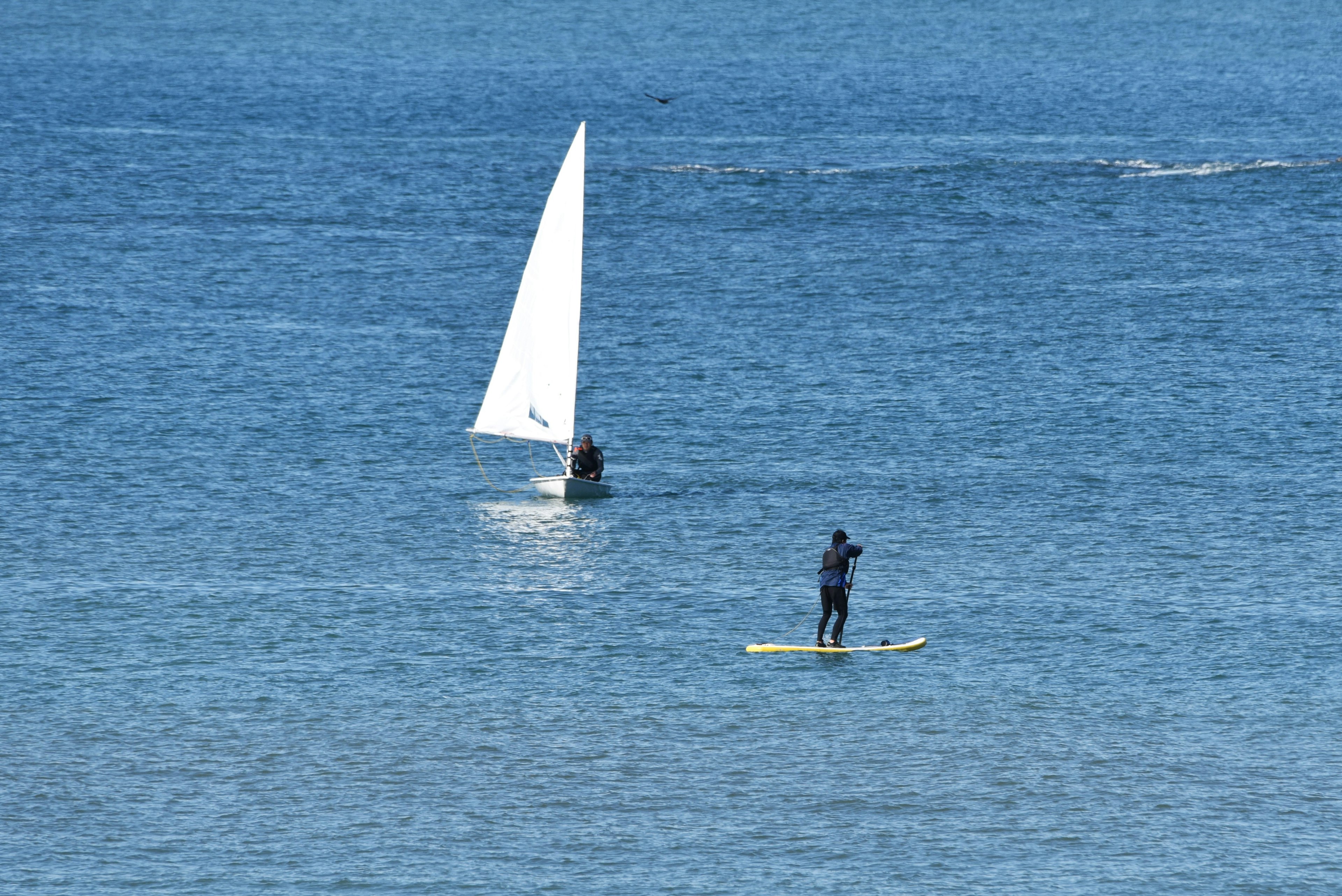 Una persona de pie en una tabla de paddle en agua azul con un velero blanco