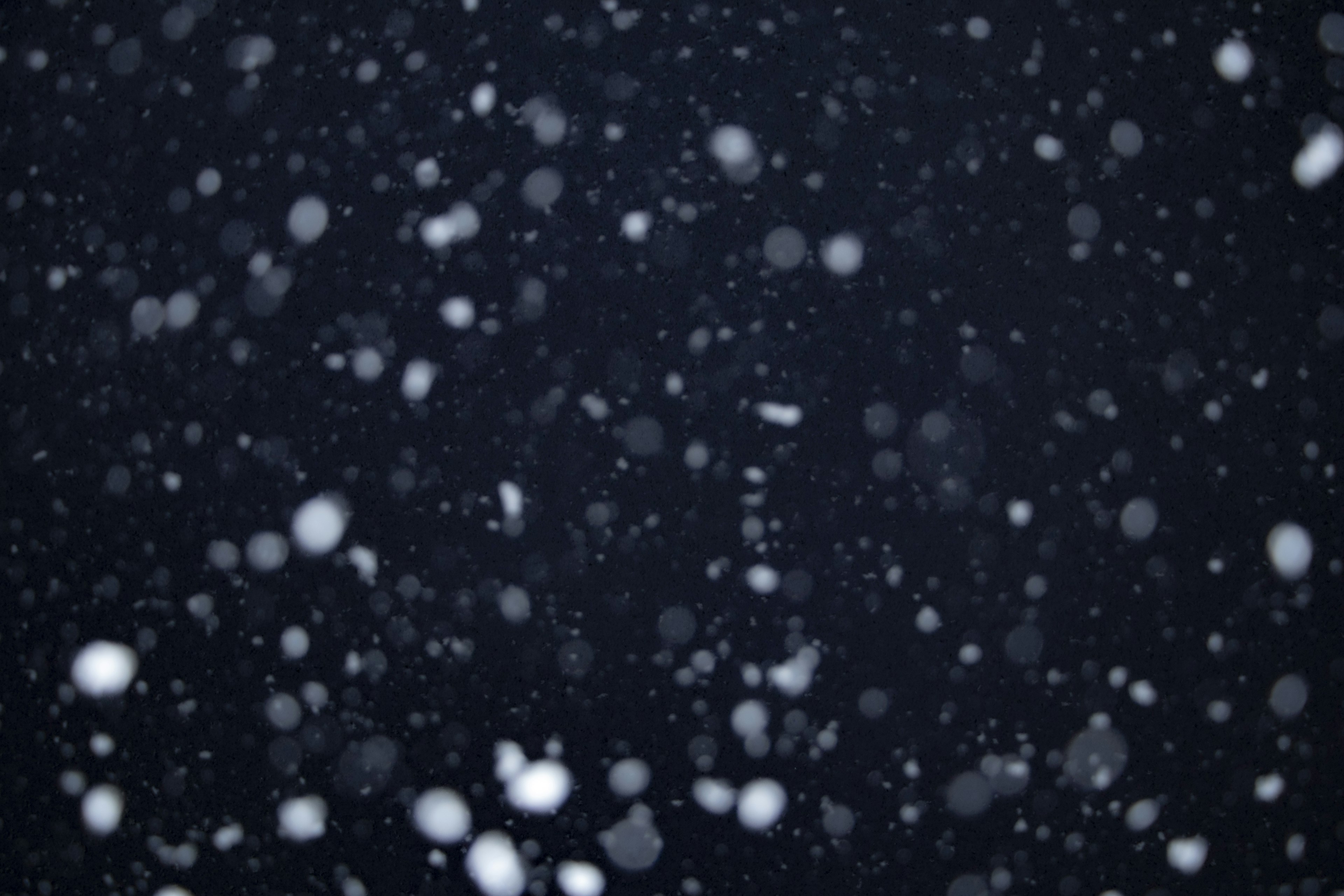 Snowflakes falling against a dark background