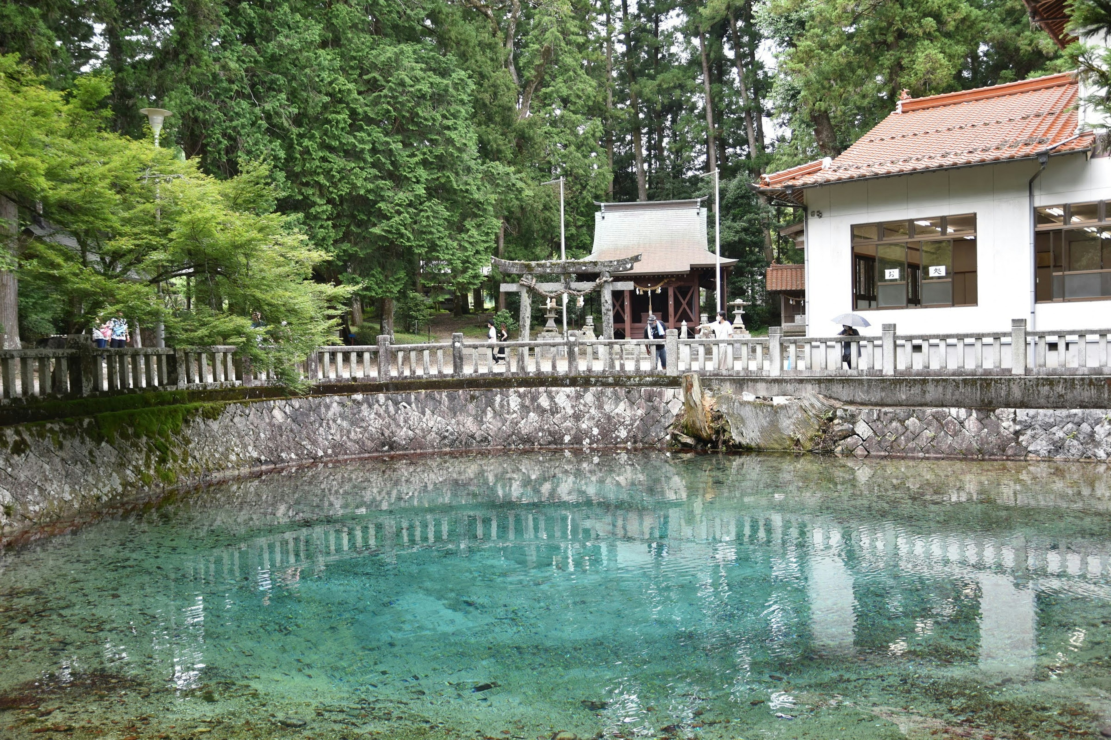 Clear water pond surrounded by lush green trees with a shrine building in the background