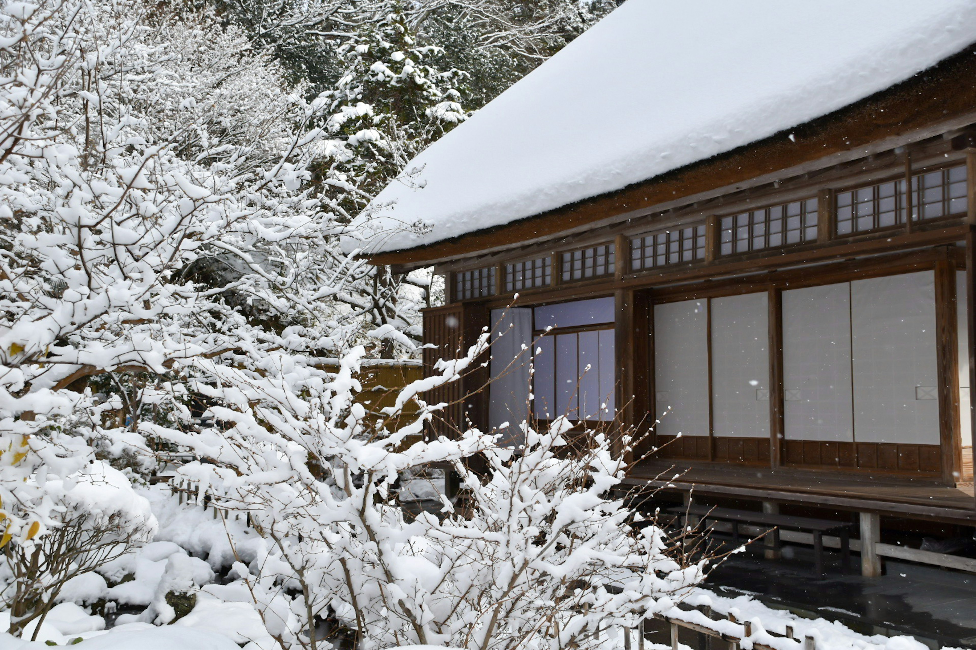 雪に覆われた伝統的な日本の家と周囲の自然