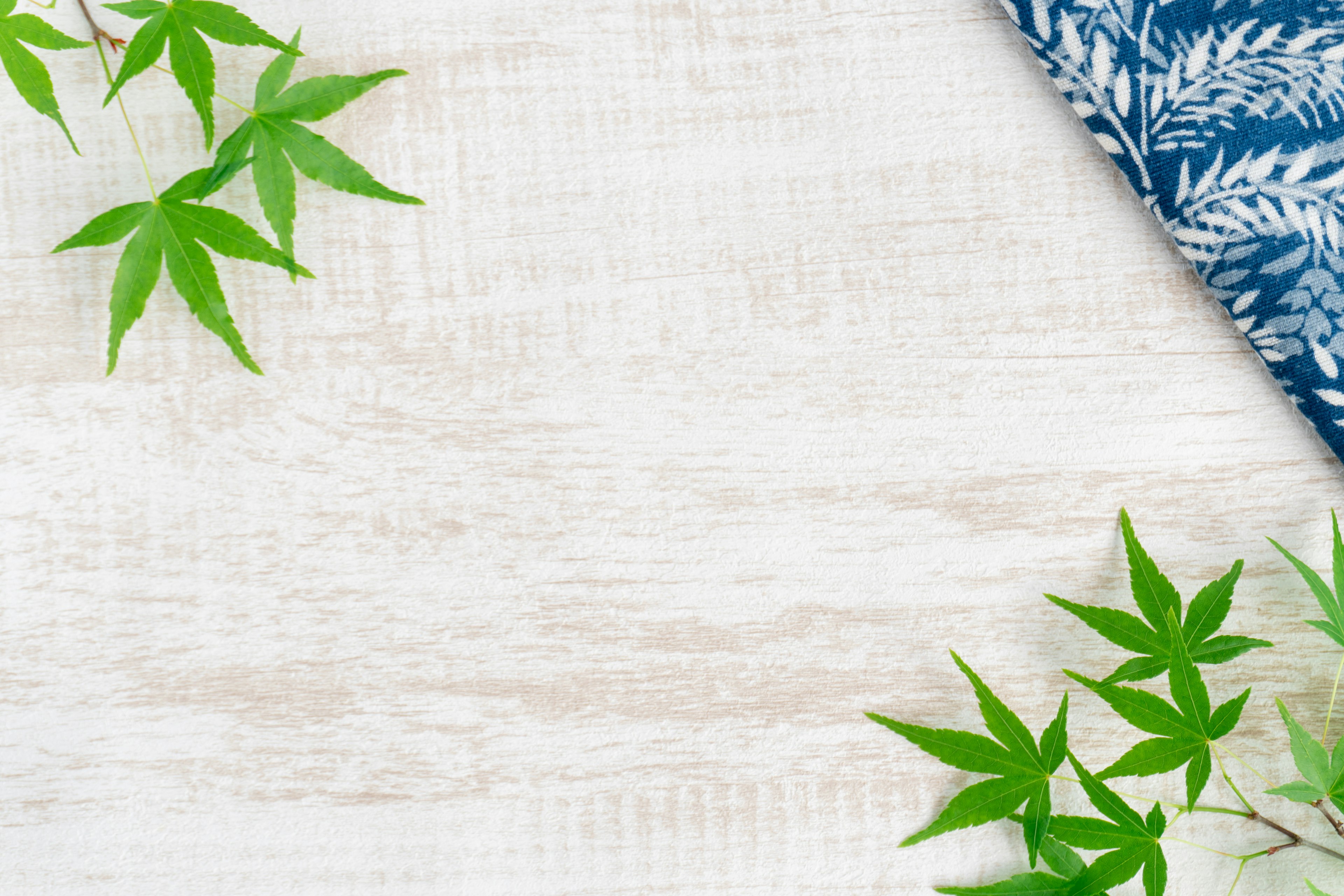 Green leaves and blue fabric on a white wood background