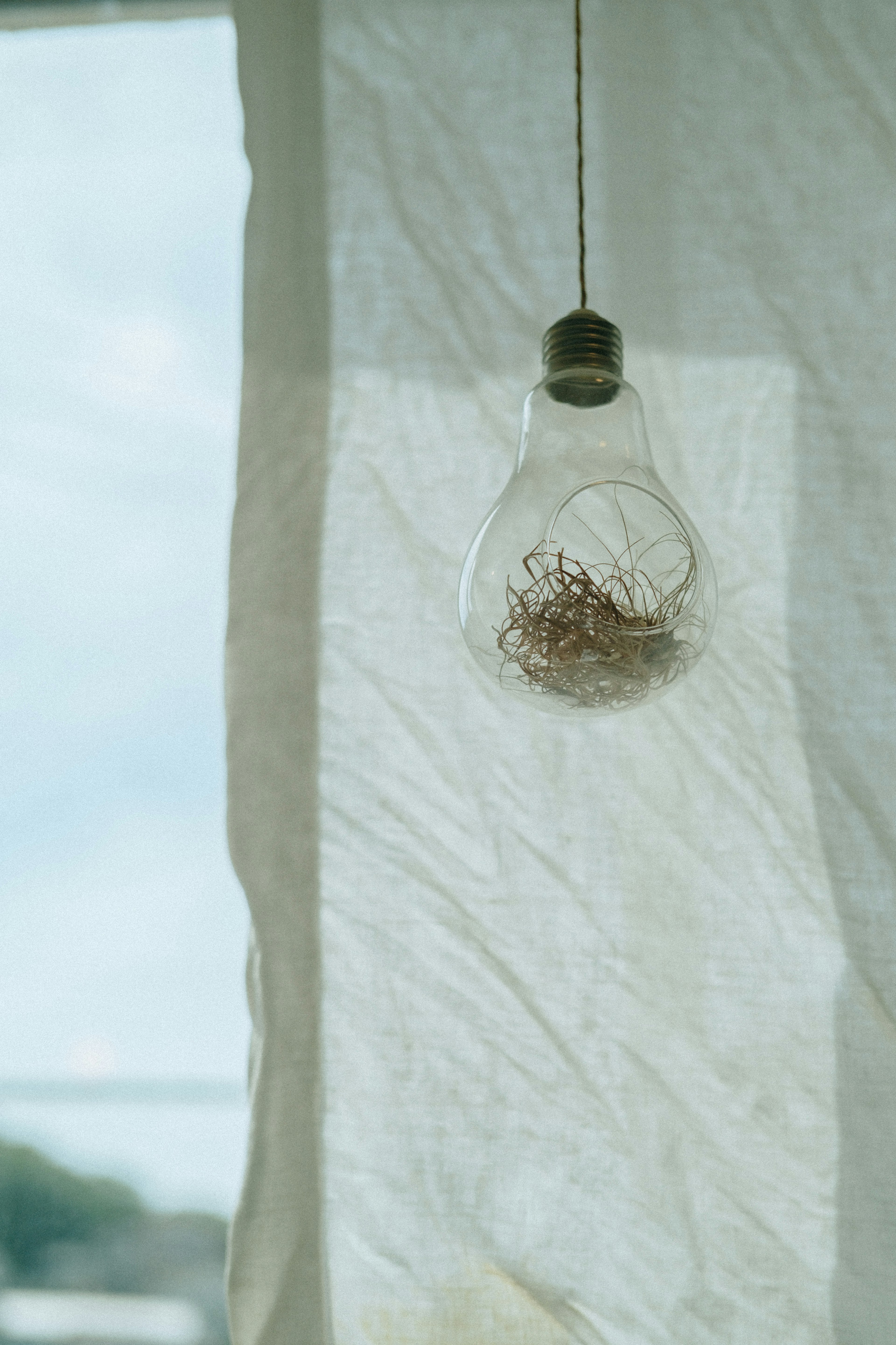 Transparent light bulb with thin metal wire inside hanging behind a white curtain