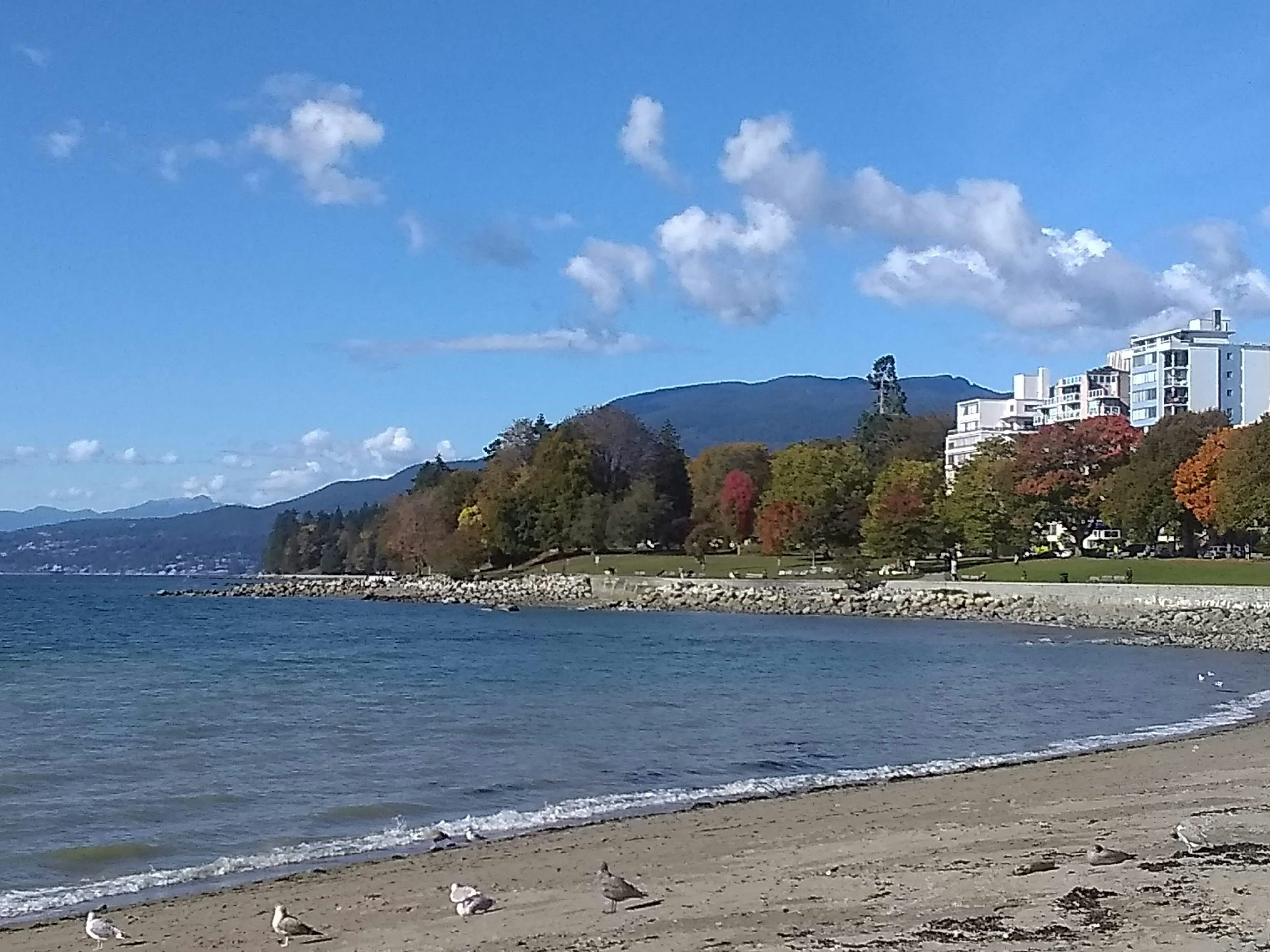 Vista de la playa con agua azul y árboles en otoño