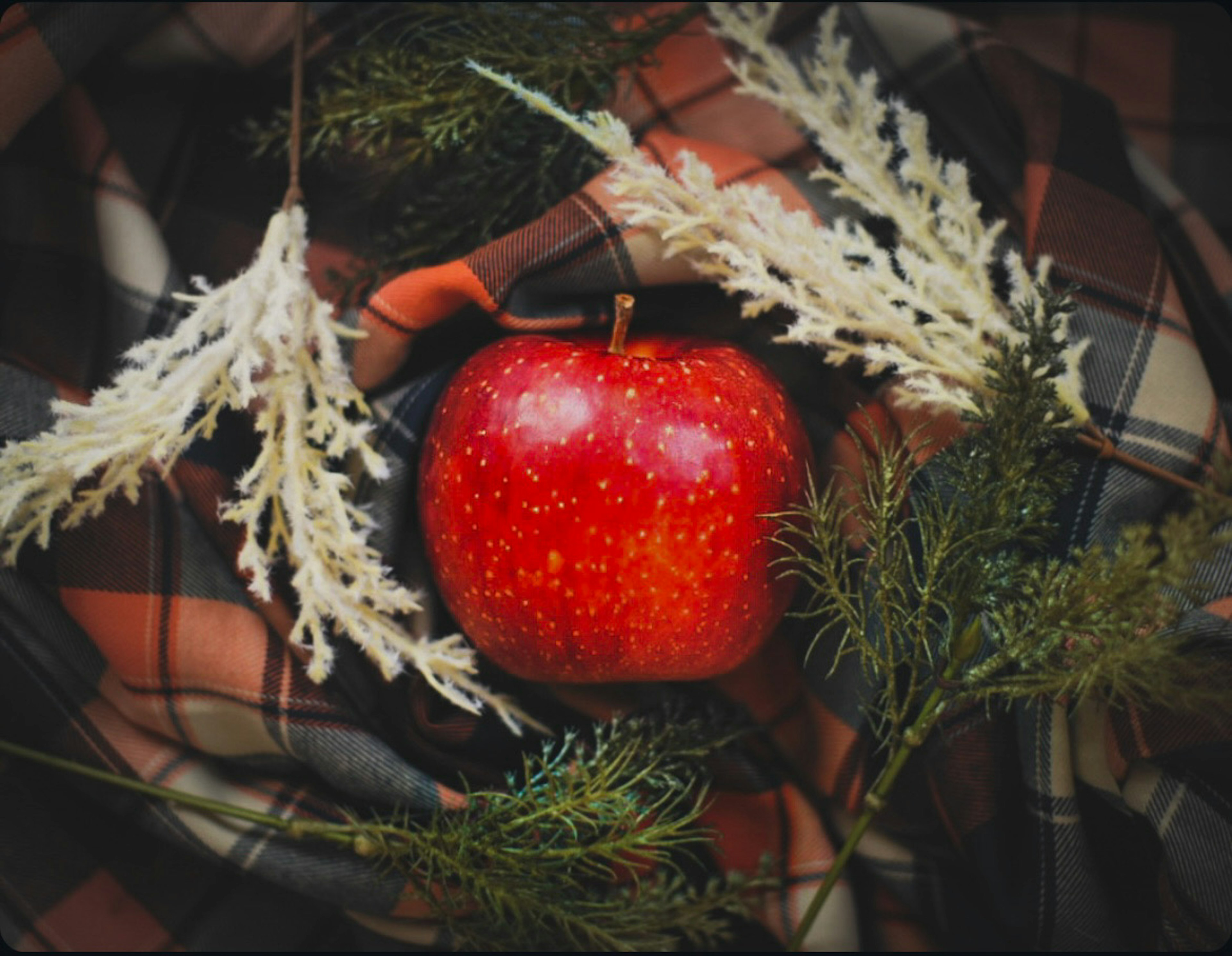 Red apple surrounded by green foliage on a plaid fabric