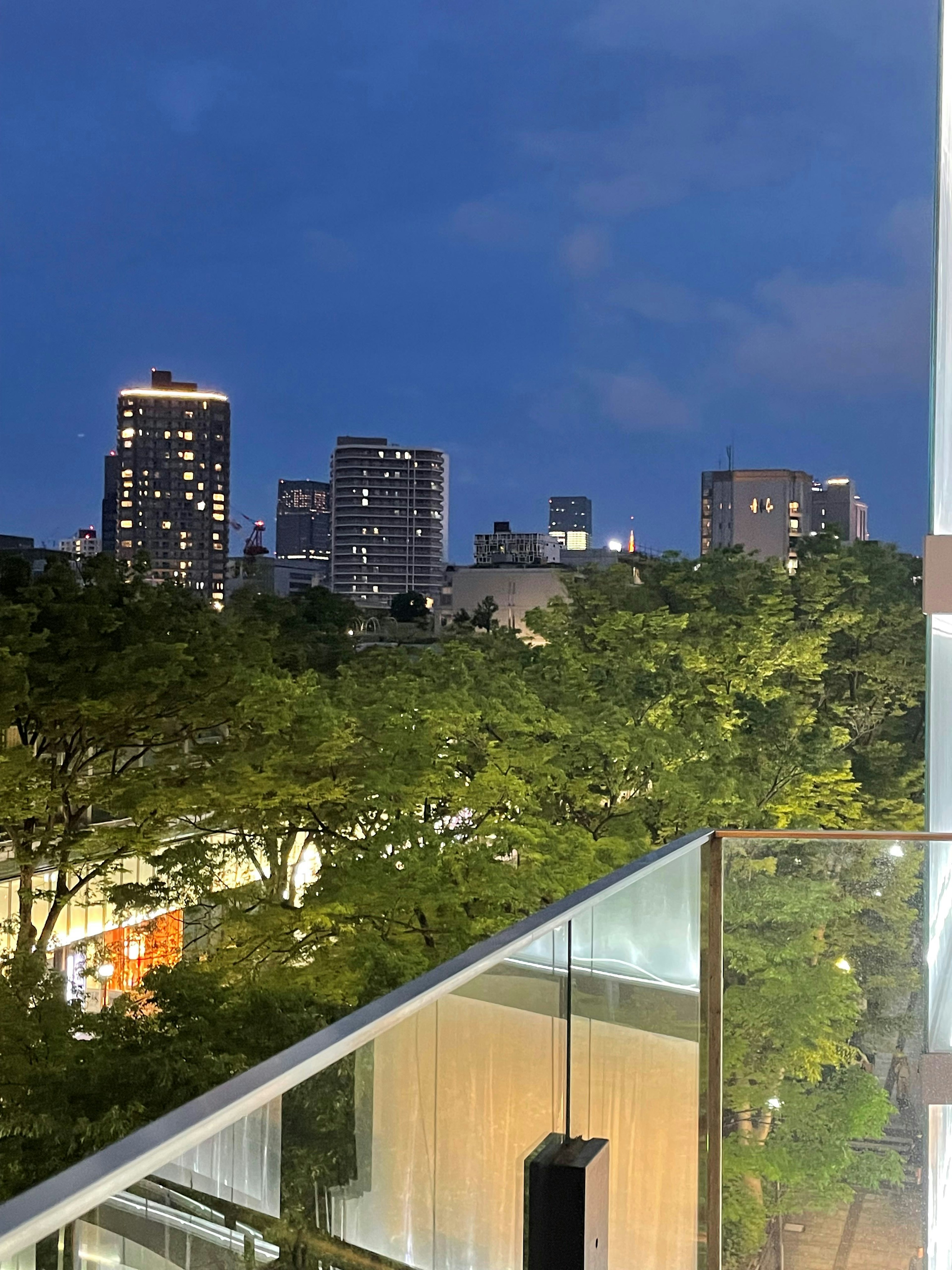 Night view of a city skyline with greenery in the foreground