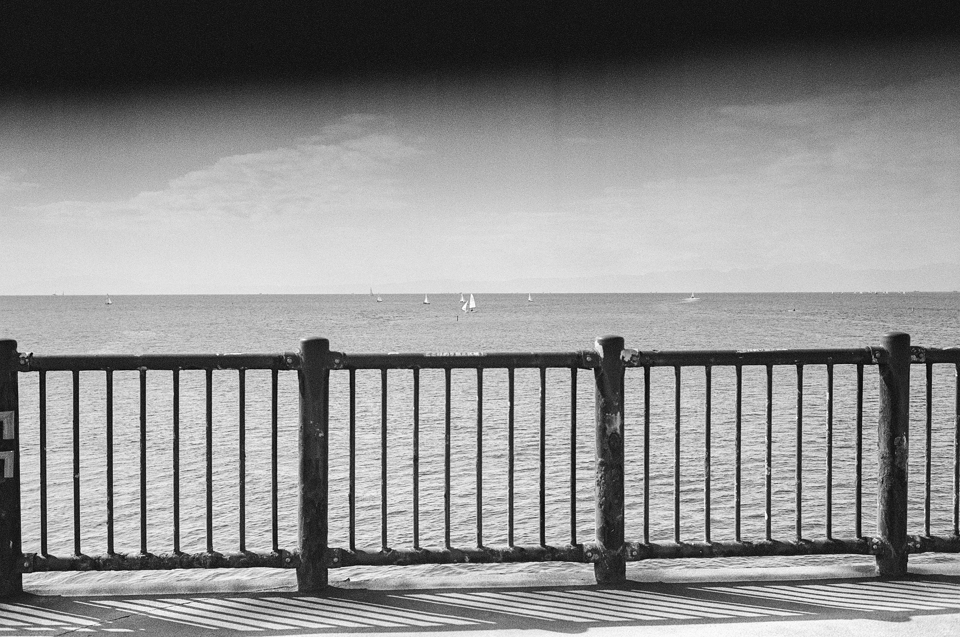 Black and white photo of a fence overlooking the sea