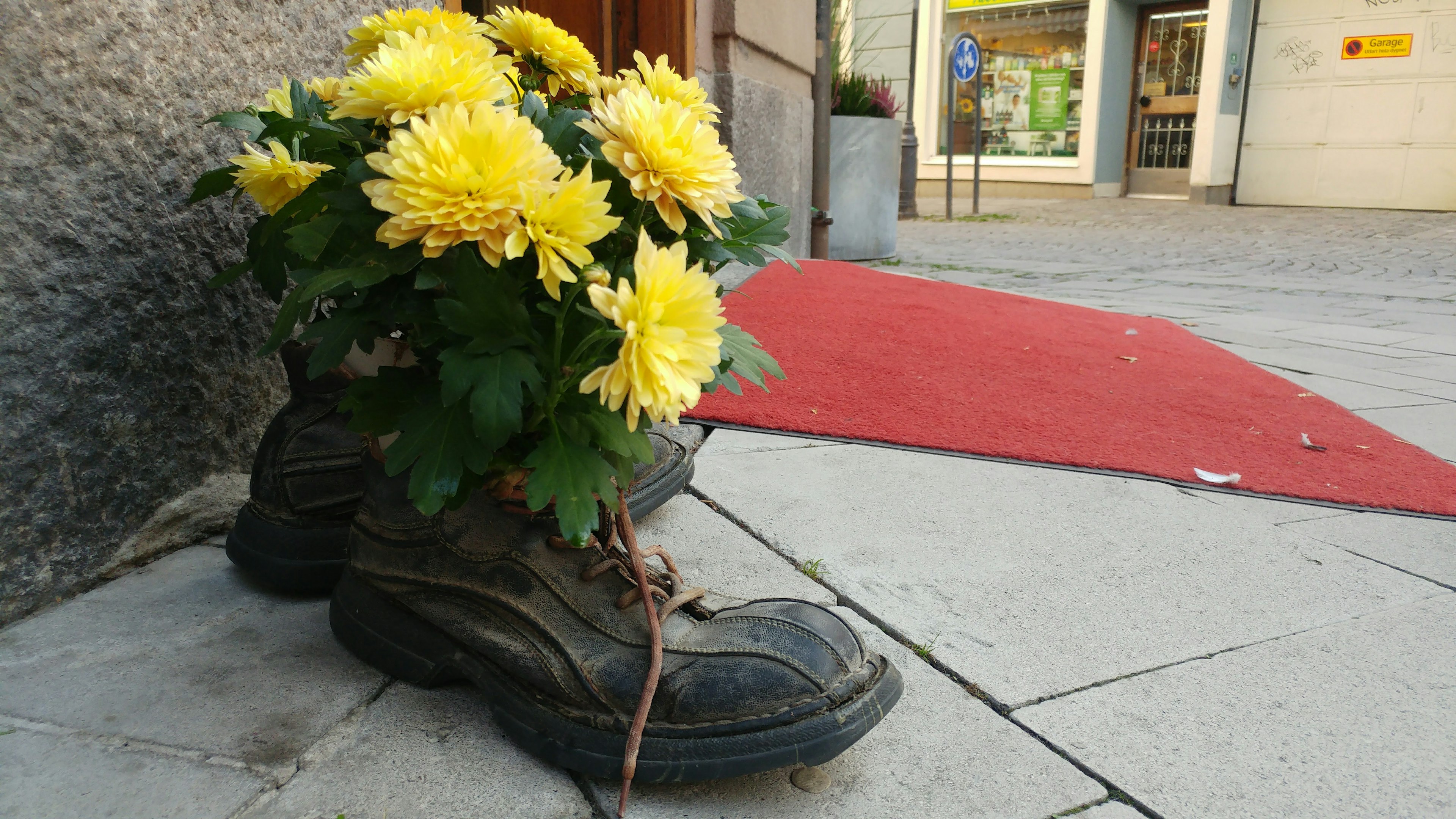 A unique decoration featuring yellow flowers planted in old boots