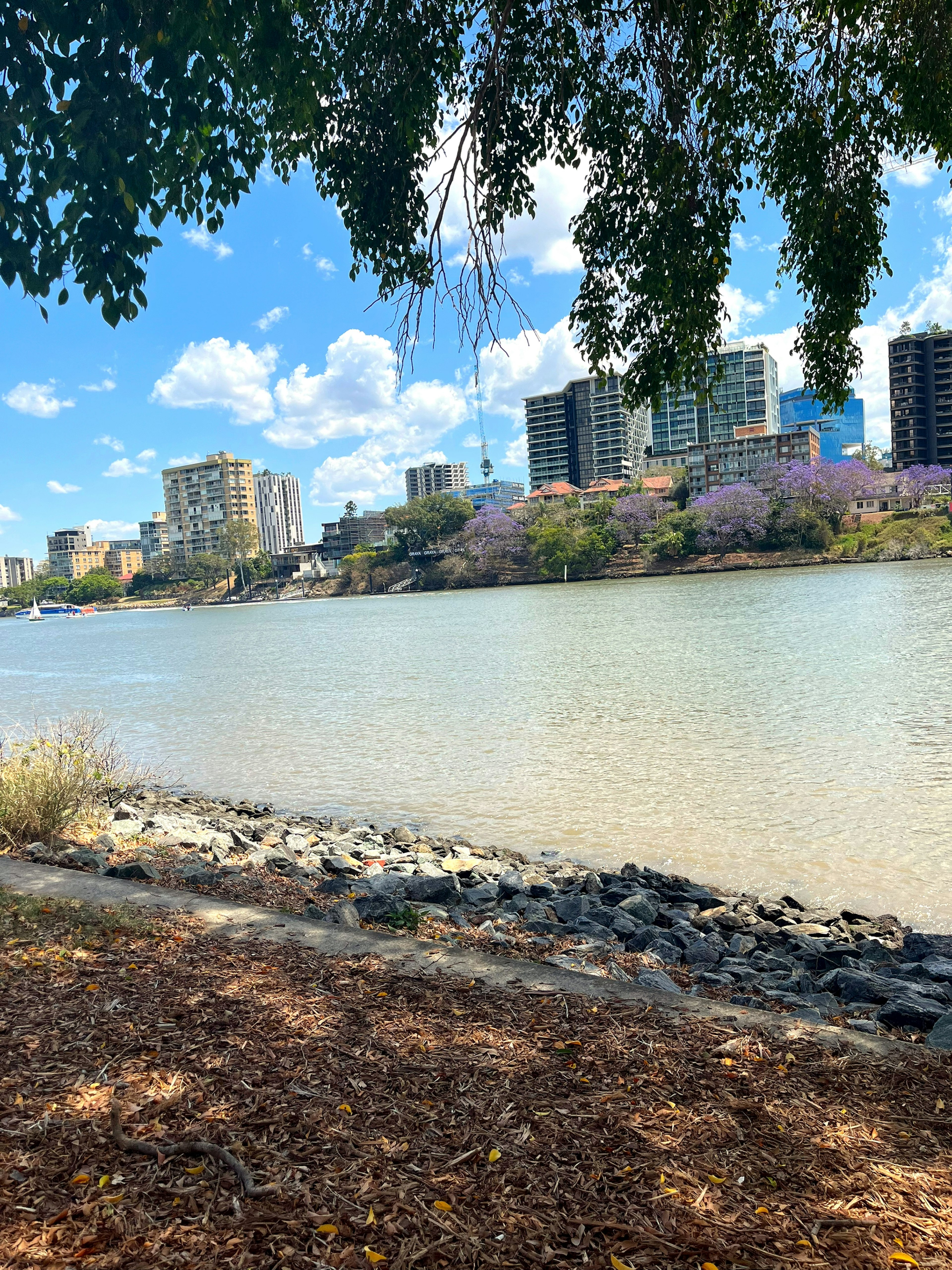 Vista del río con edificios altos de fondo bajo un cielo azul y nubes blancas