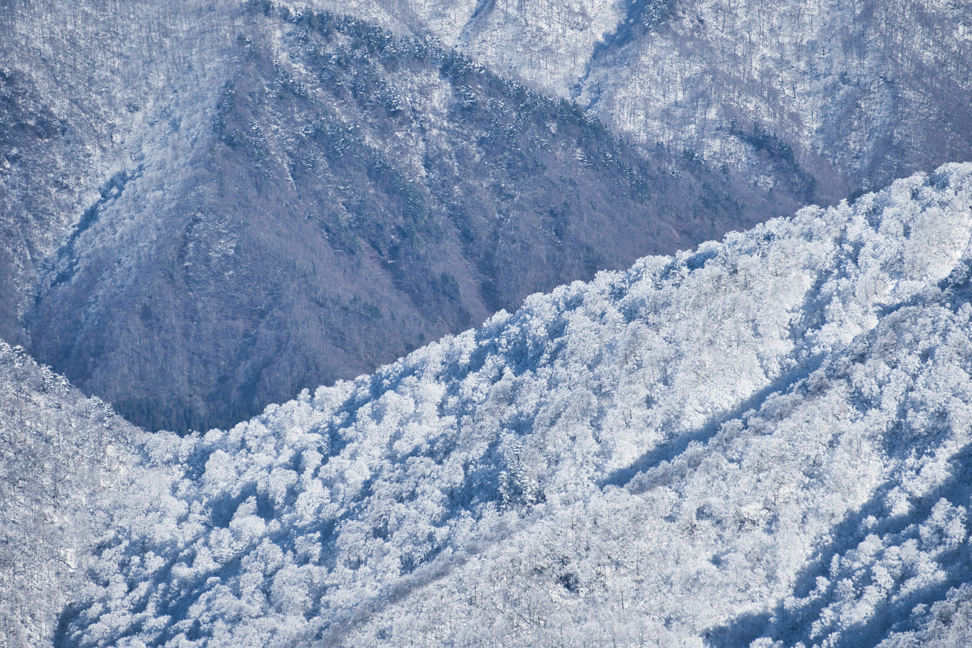 雪に覆われた山々の詳細な画像