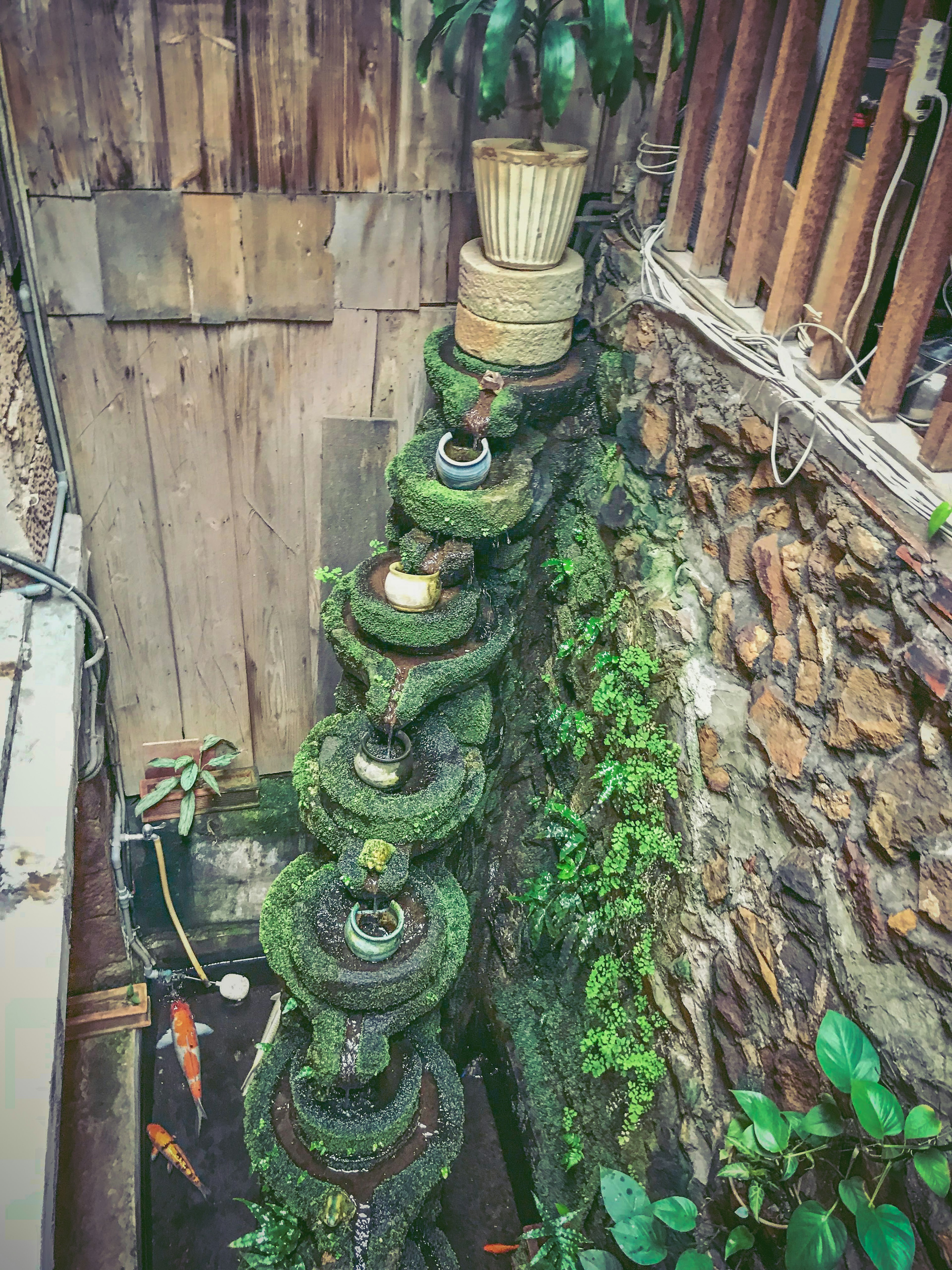 緑に覆われた水の噴水と鉢植えの植物が並ぶ美しい風景