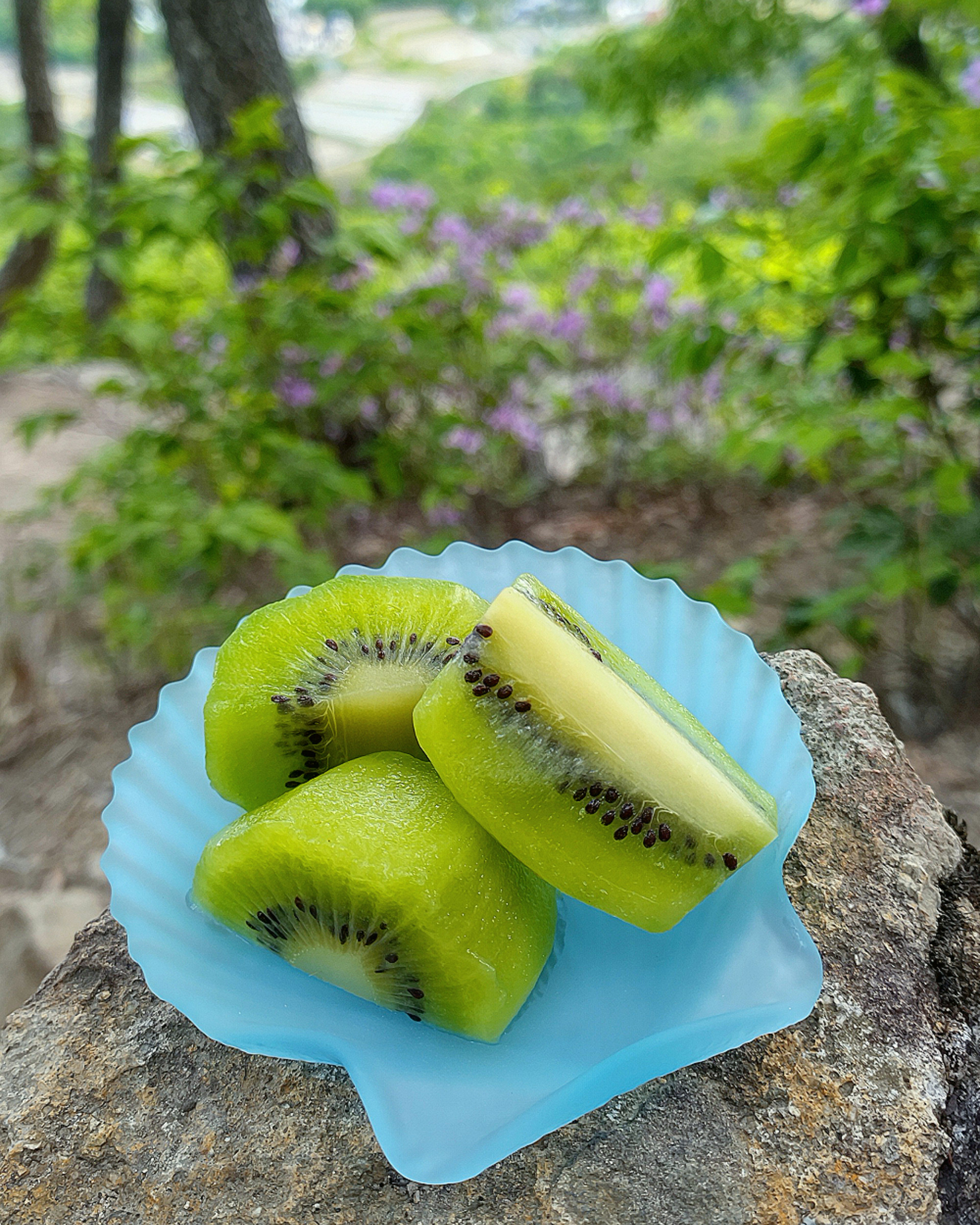 Fresh kiwi slices on a blue dish surrounded by greenery