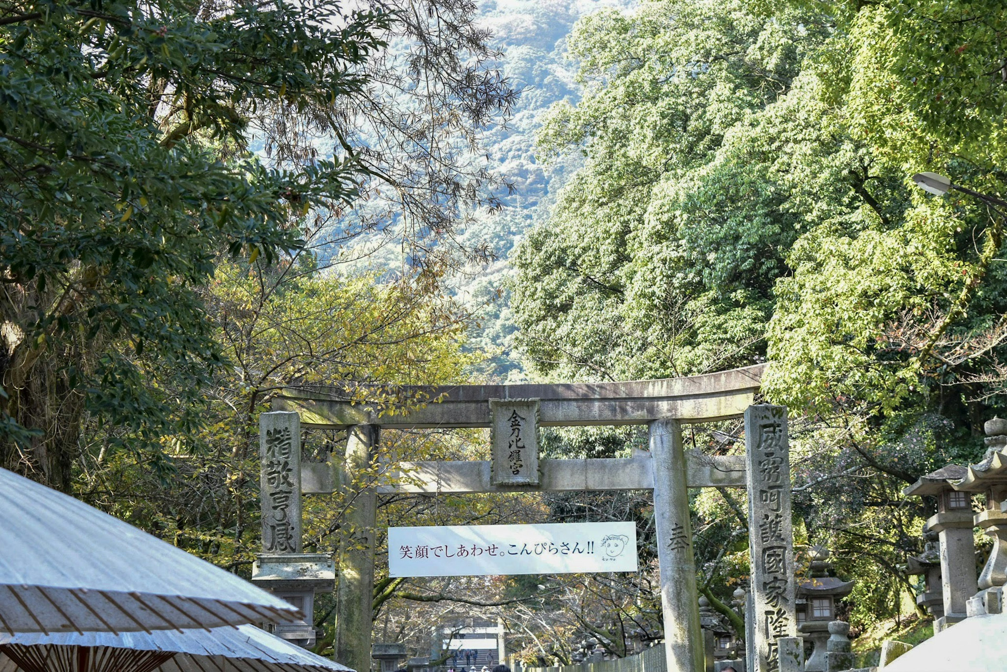 被樹木環繞的鳥居和山景