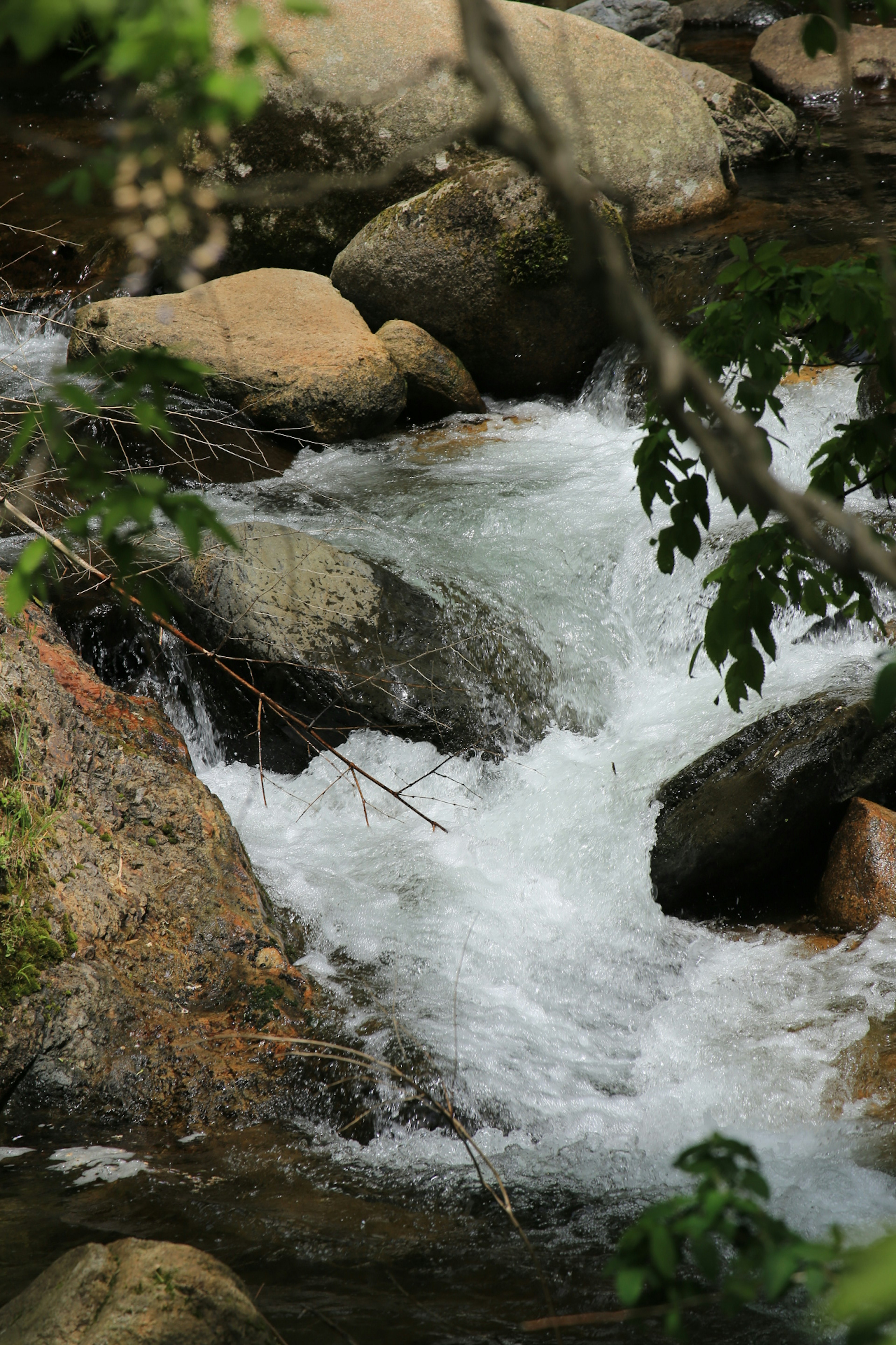 Sungai yang mengalir dengan batu dan daun hijau