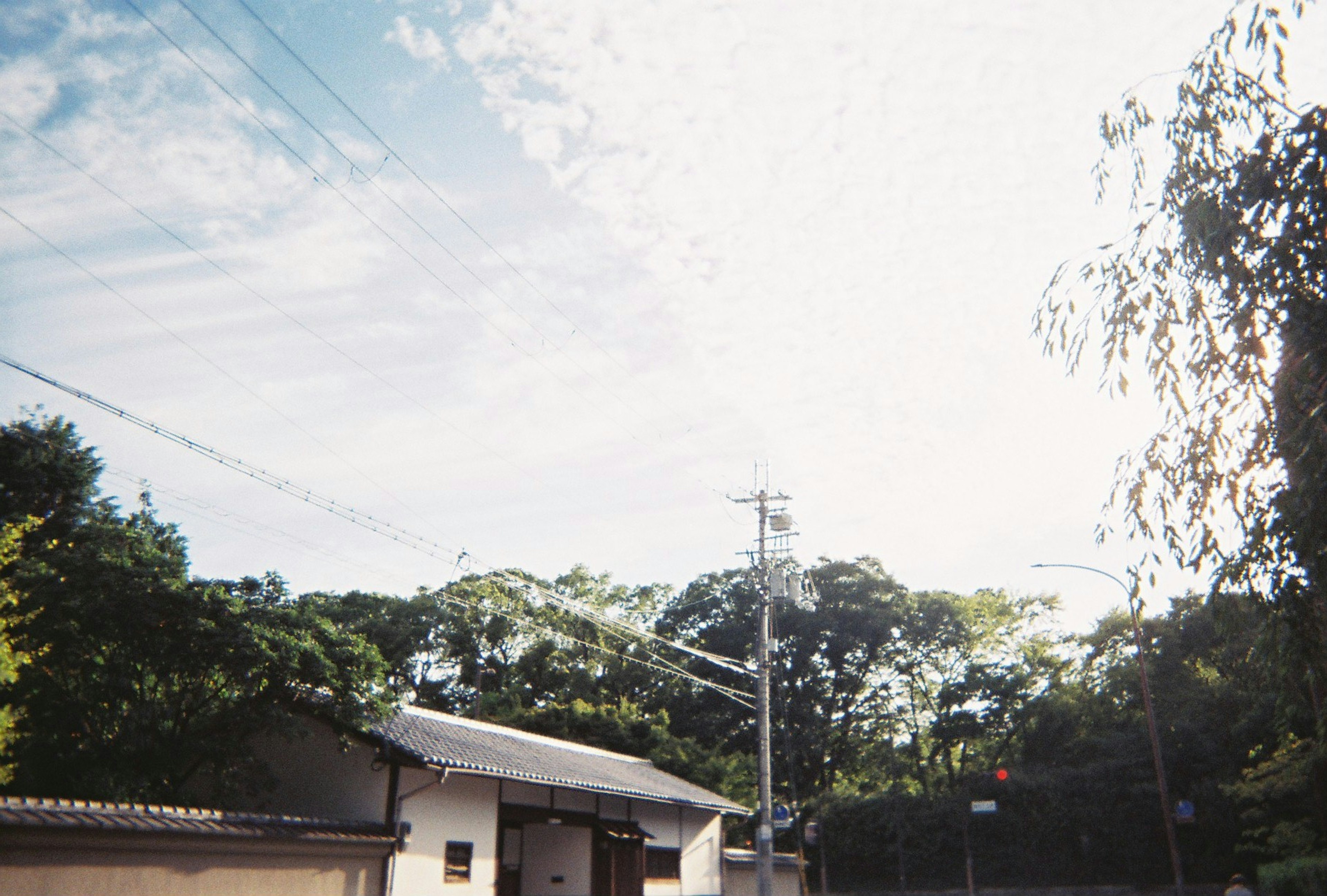 A simple house surrounded by greenery under a blue sky with clouds