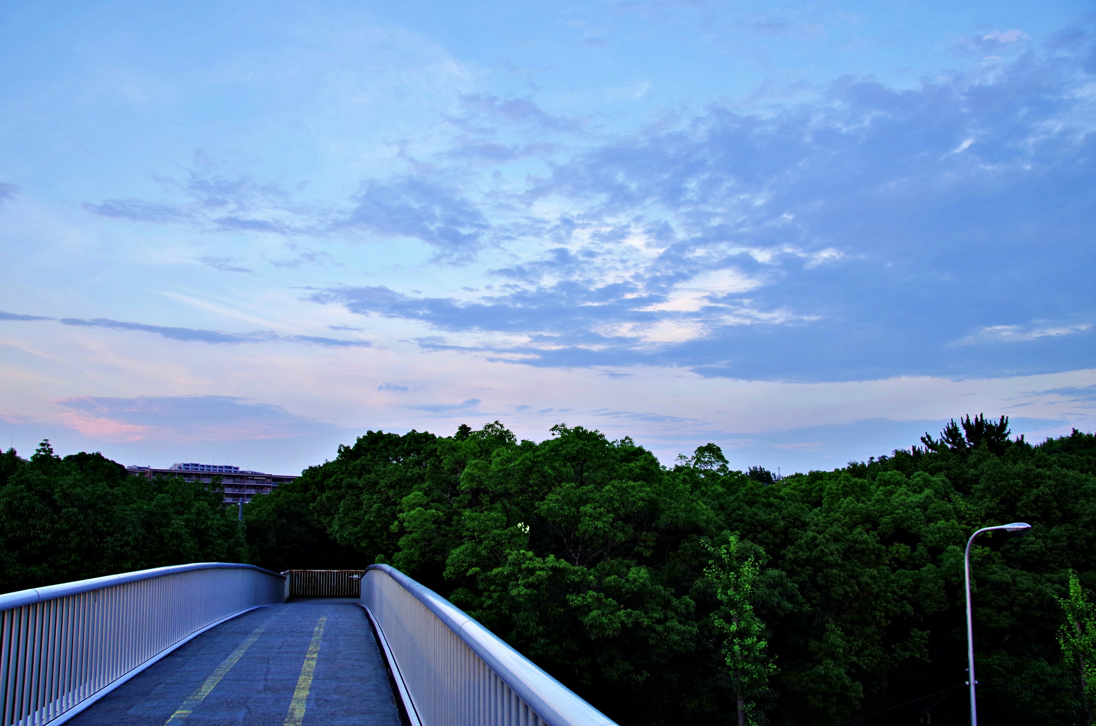 青い空と緑の木々に囲まれた歩道橋の風景