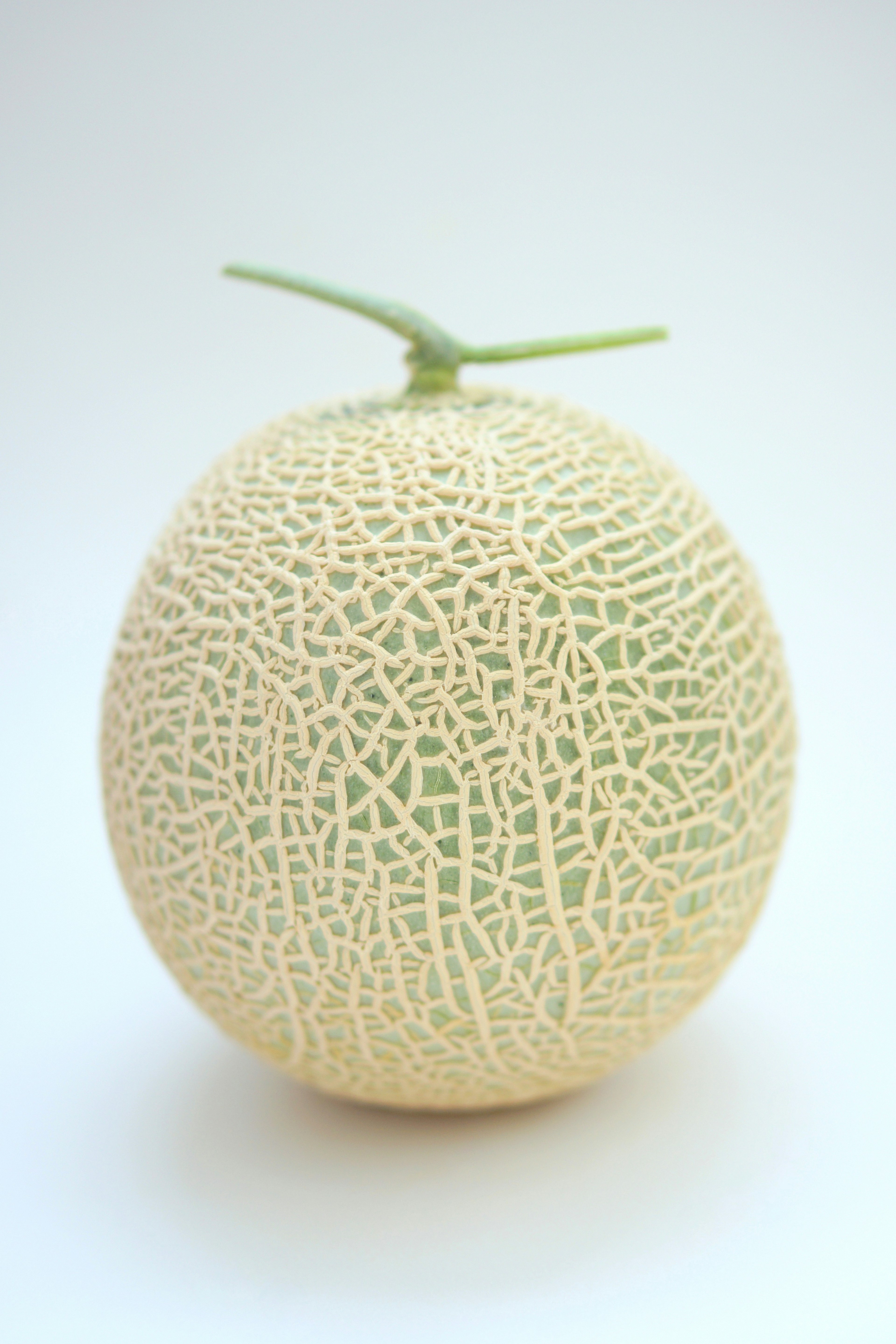 A cantaloupe with netted skin displayed on a white background