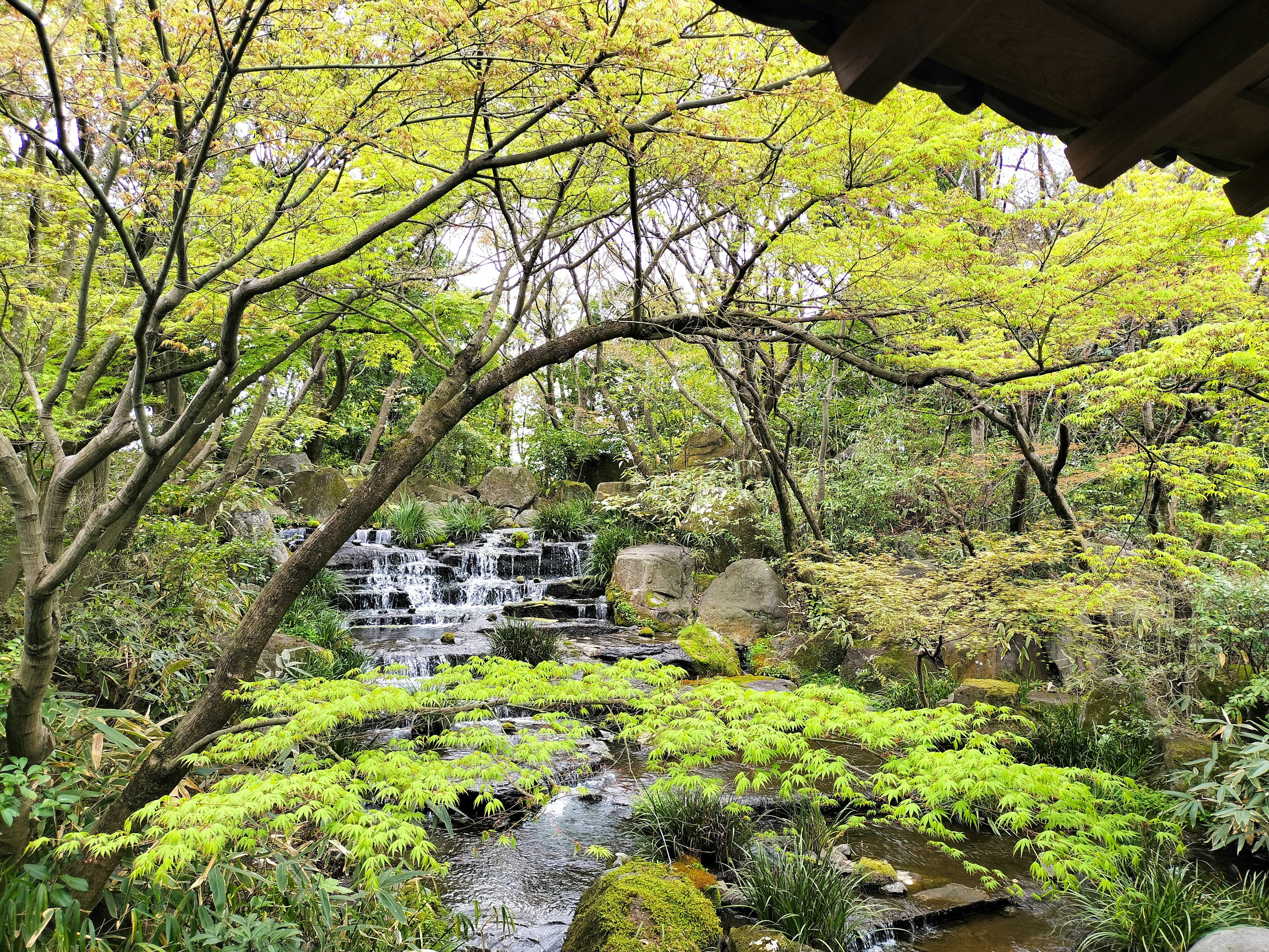 緑豊かな庭園の中に流れる滝と小川の風景