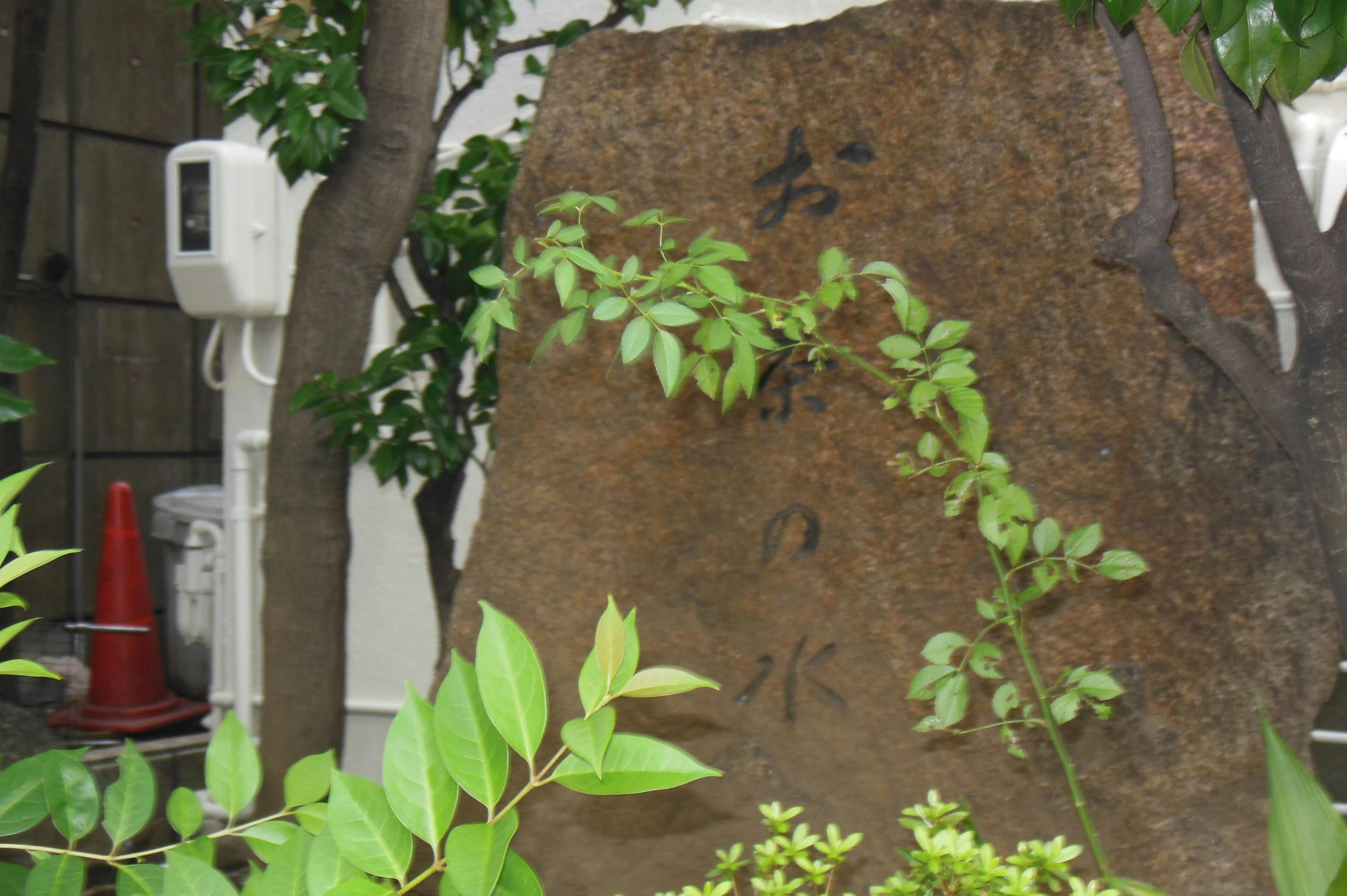 Monument en pierre avec inscriptions entouré de plantes vertes