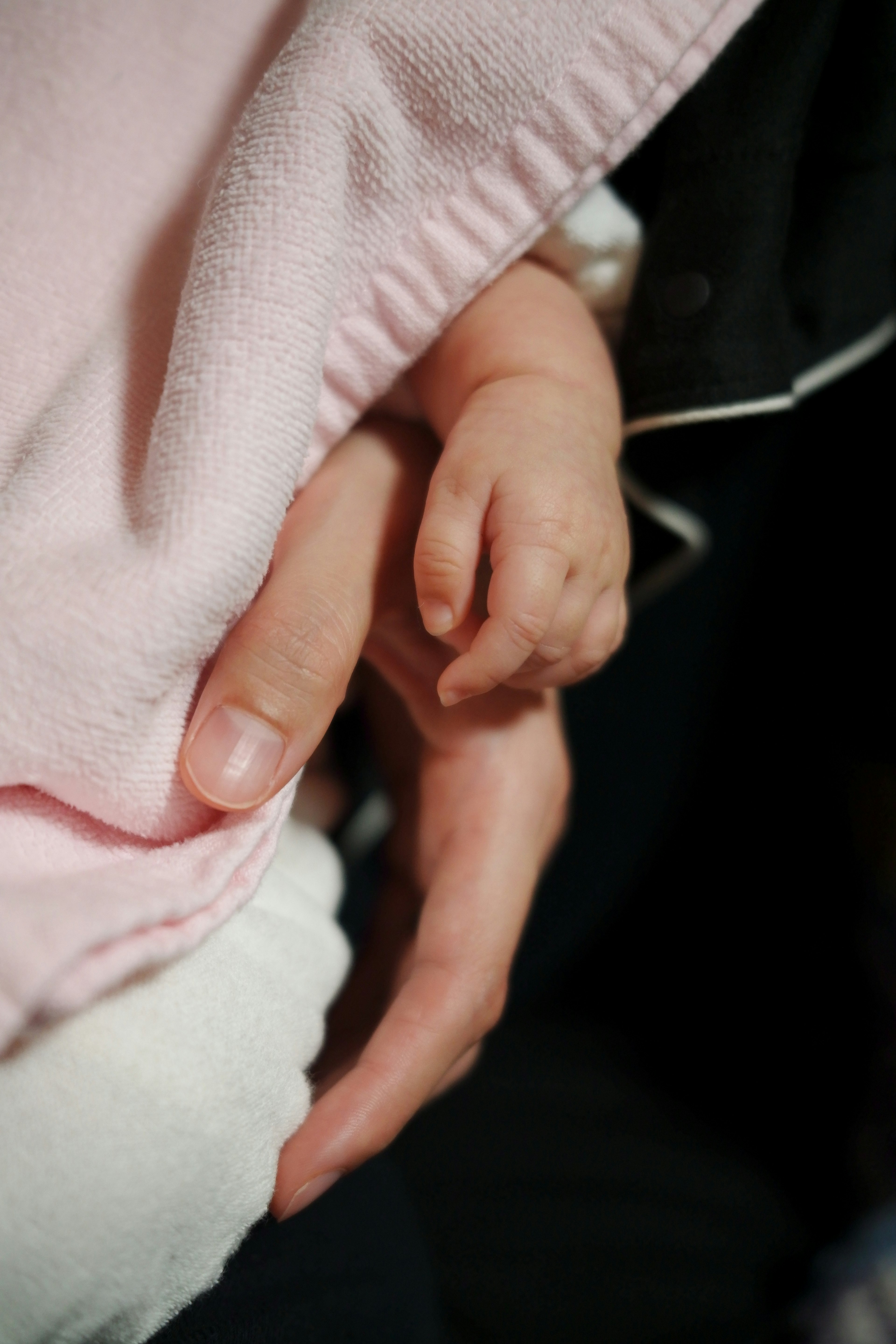 A baby's tiny hand grasping an adult's hand