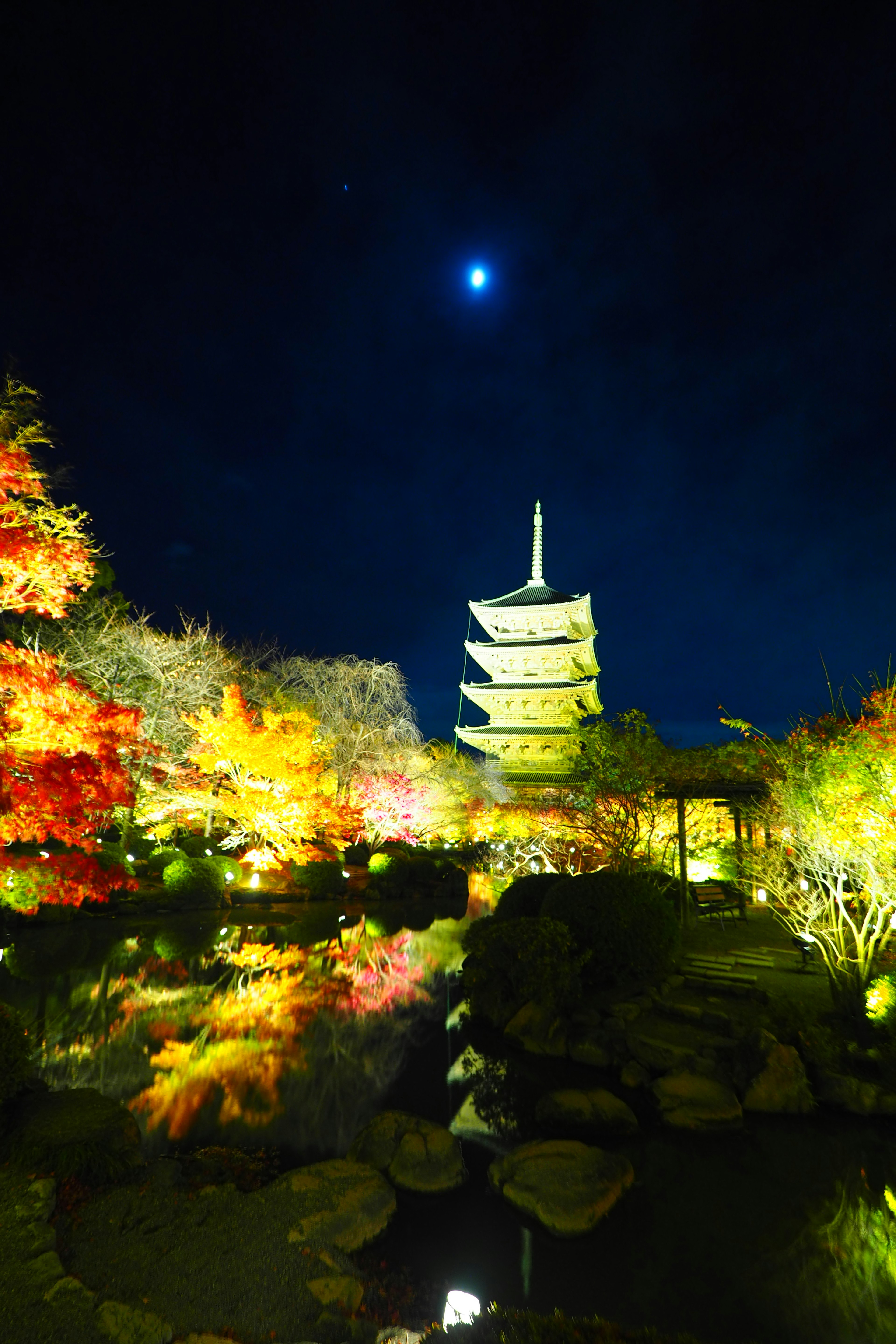 Scène nocturne avec une pagode illuminée par un feuillage d'automne coloré