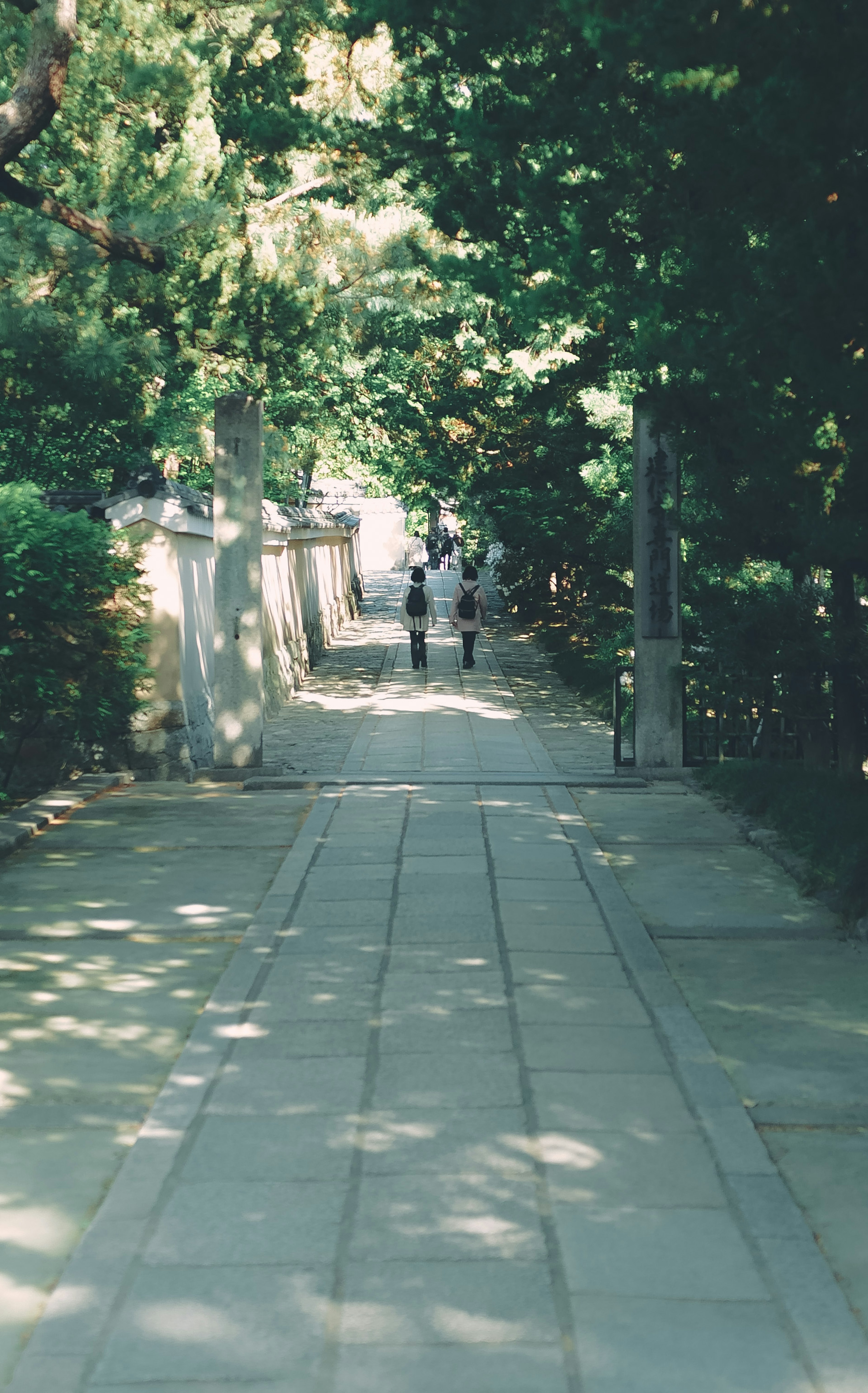 A quiet path surrounded by greenery with people walking