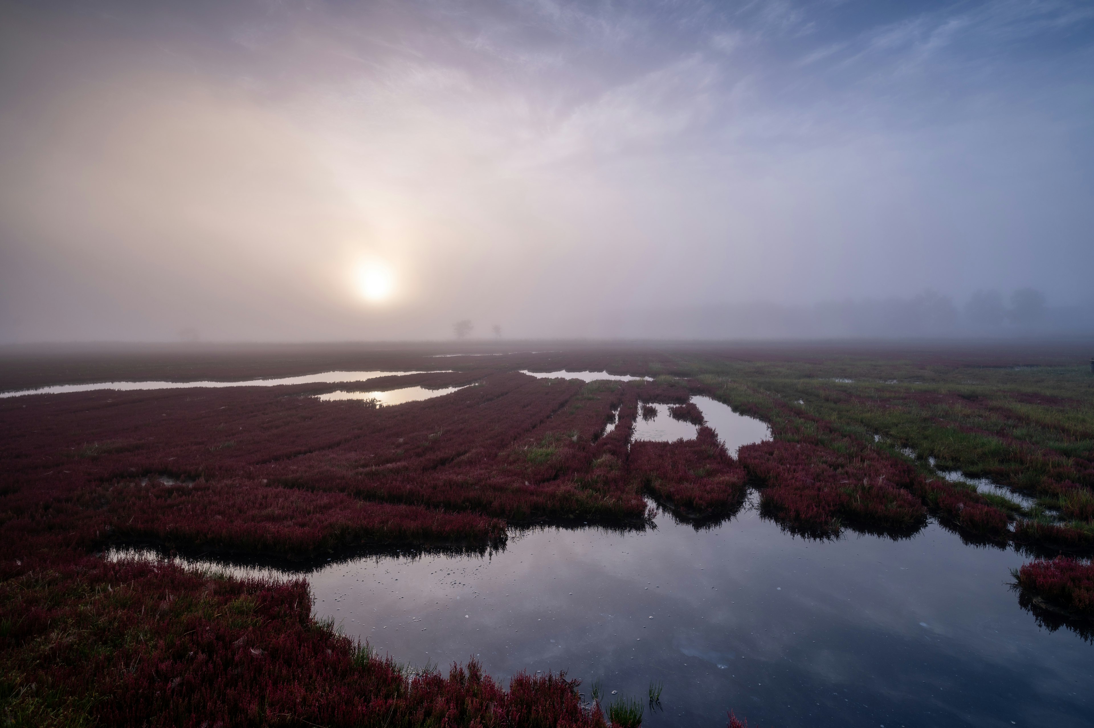 Paisaje brumoso con pantanos rojos y agua tranquila reflejando el amanecer