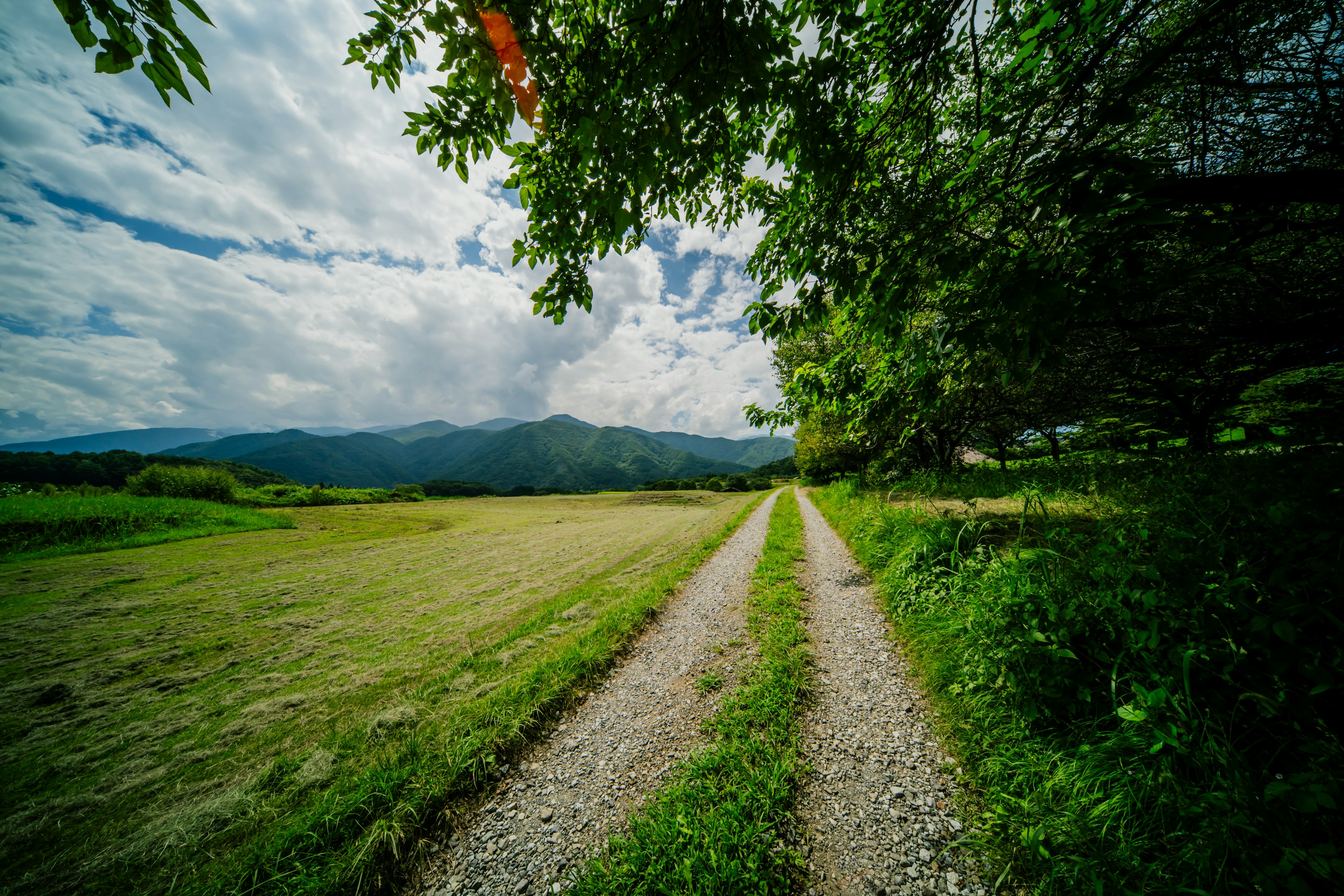 鄉村風景，碎石小路和廣闊的天空