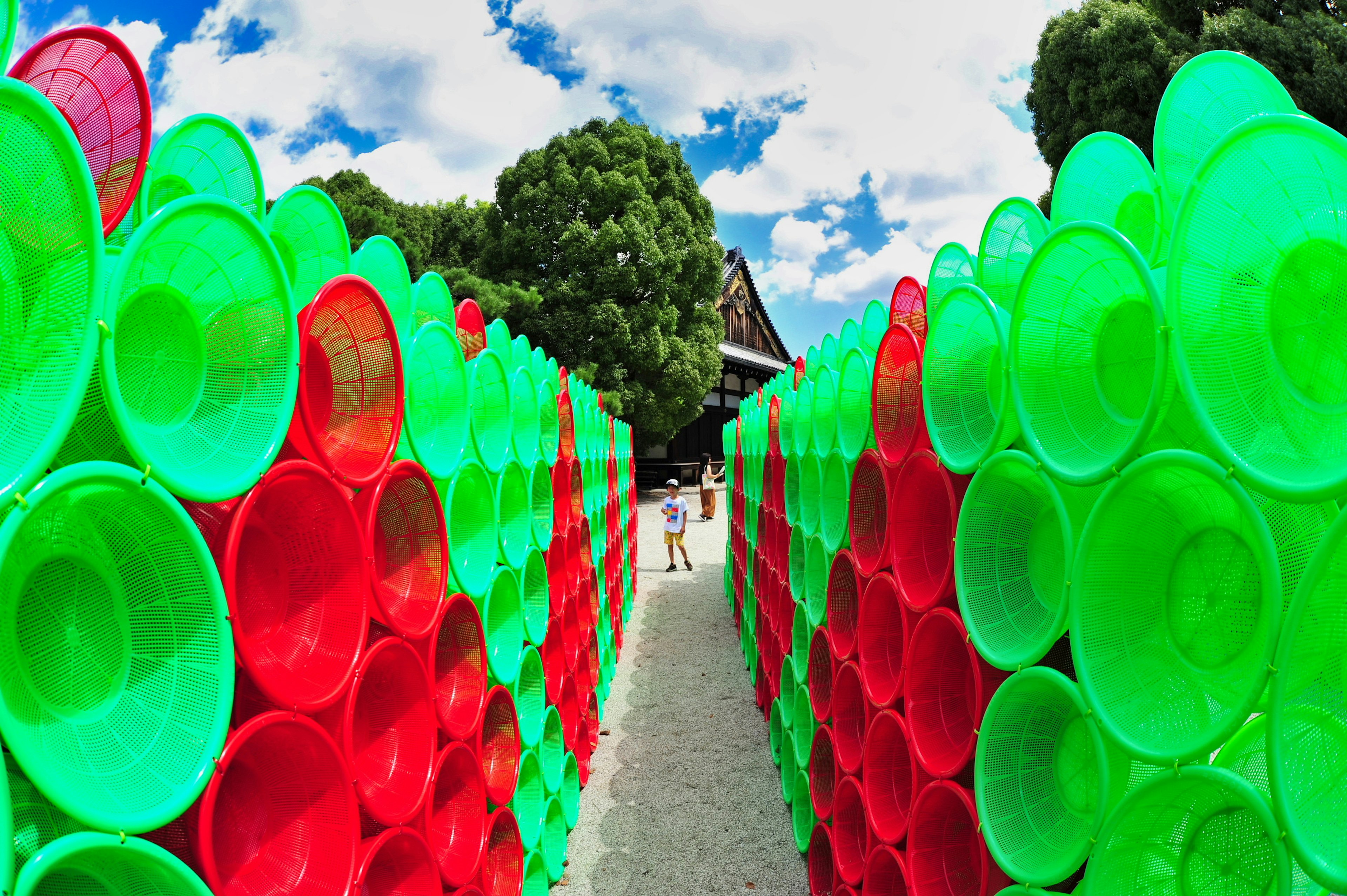 Pathway lined with green and red plastic buckets