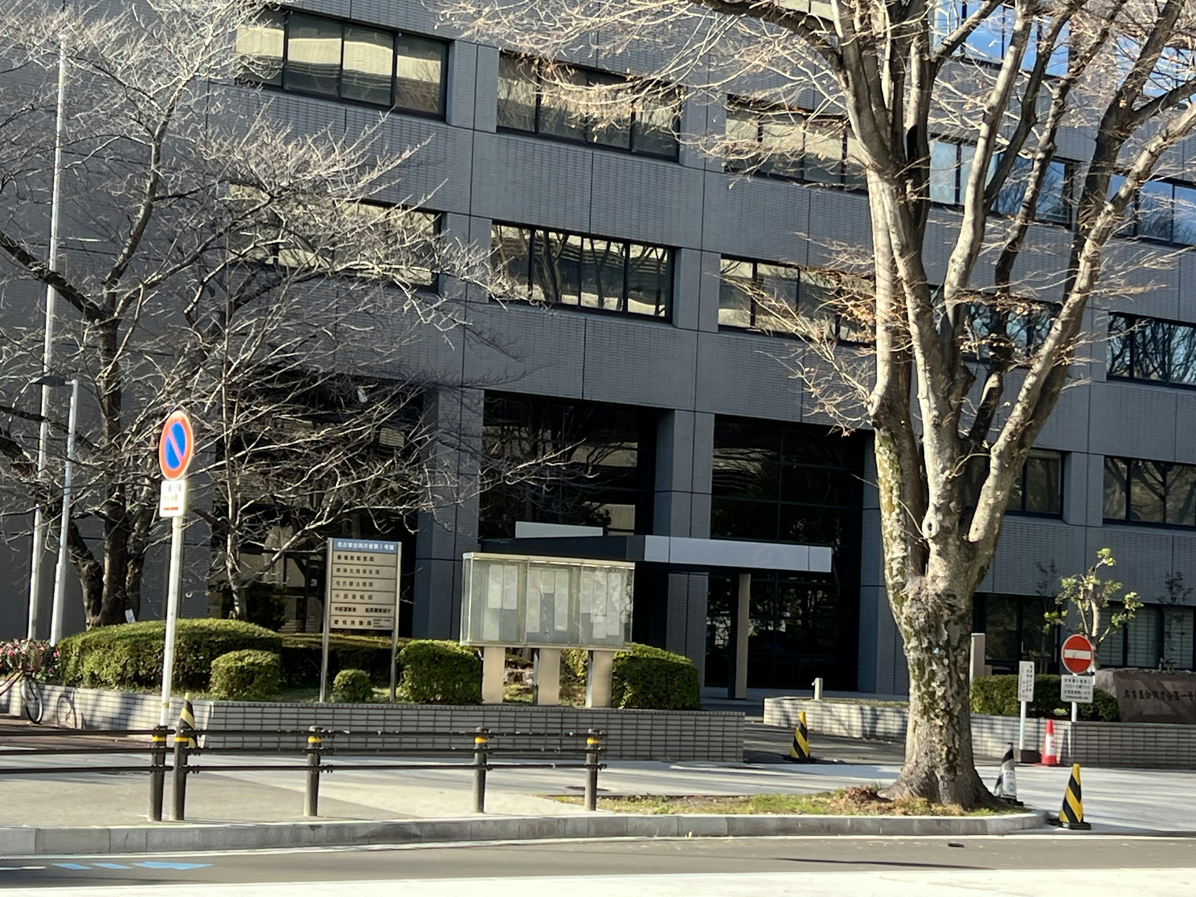 Vista di un edificio moderno con alberi di ciliegio davanti