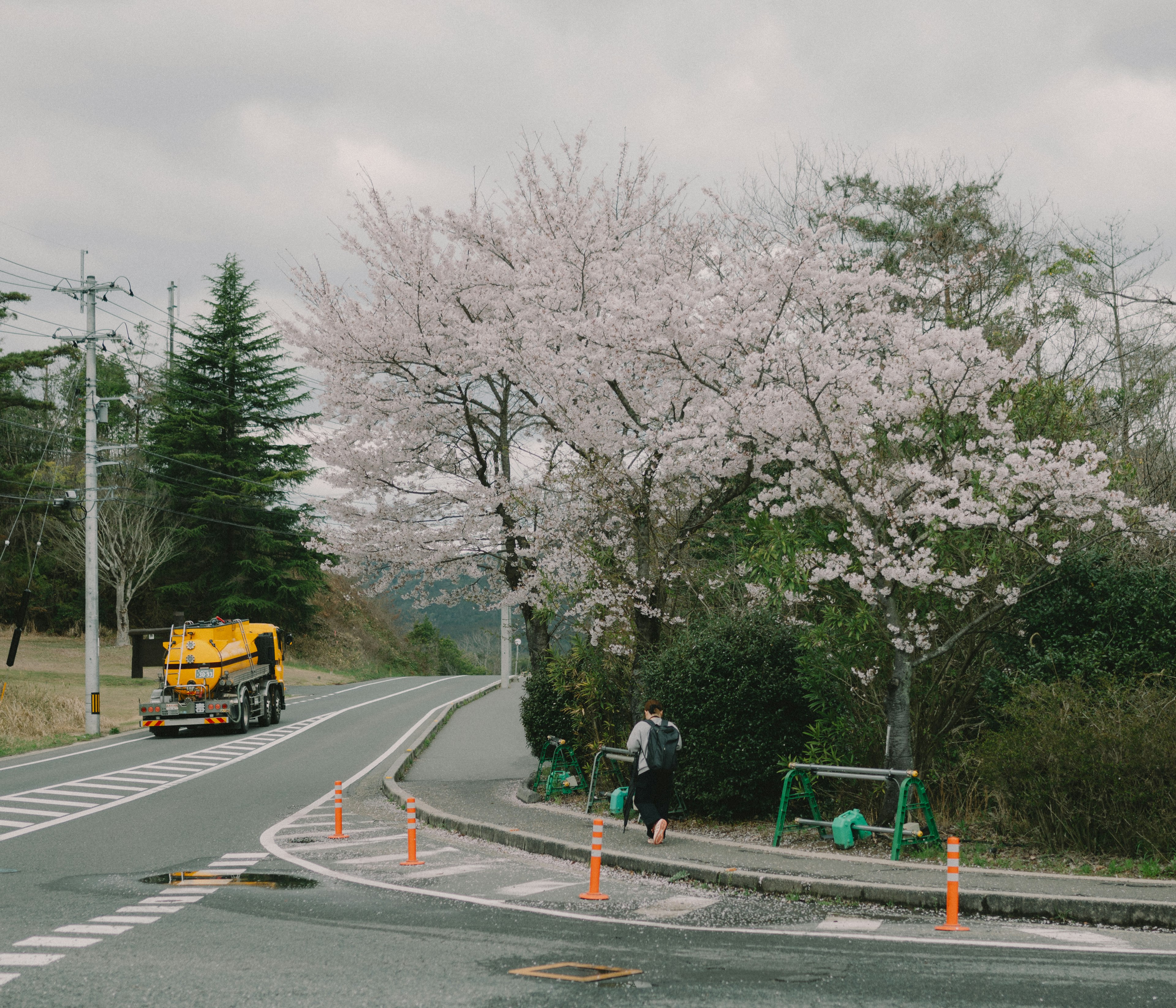 Scenic view of a road with cherry blossom trees and a yellow truck