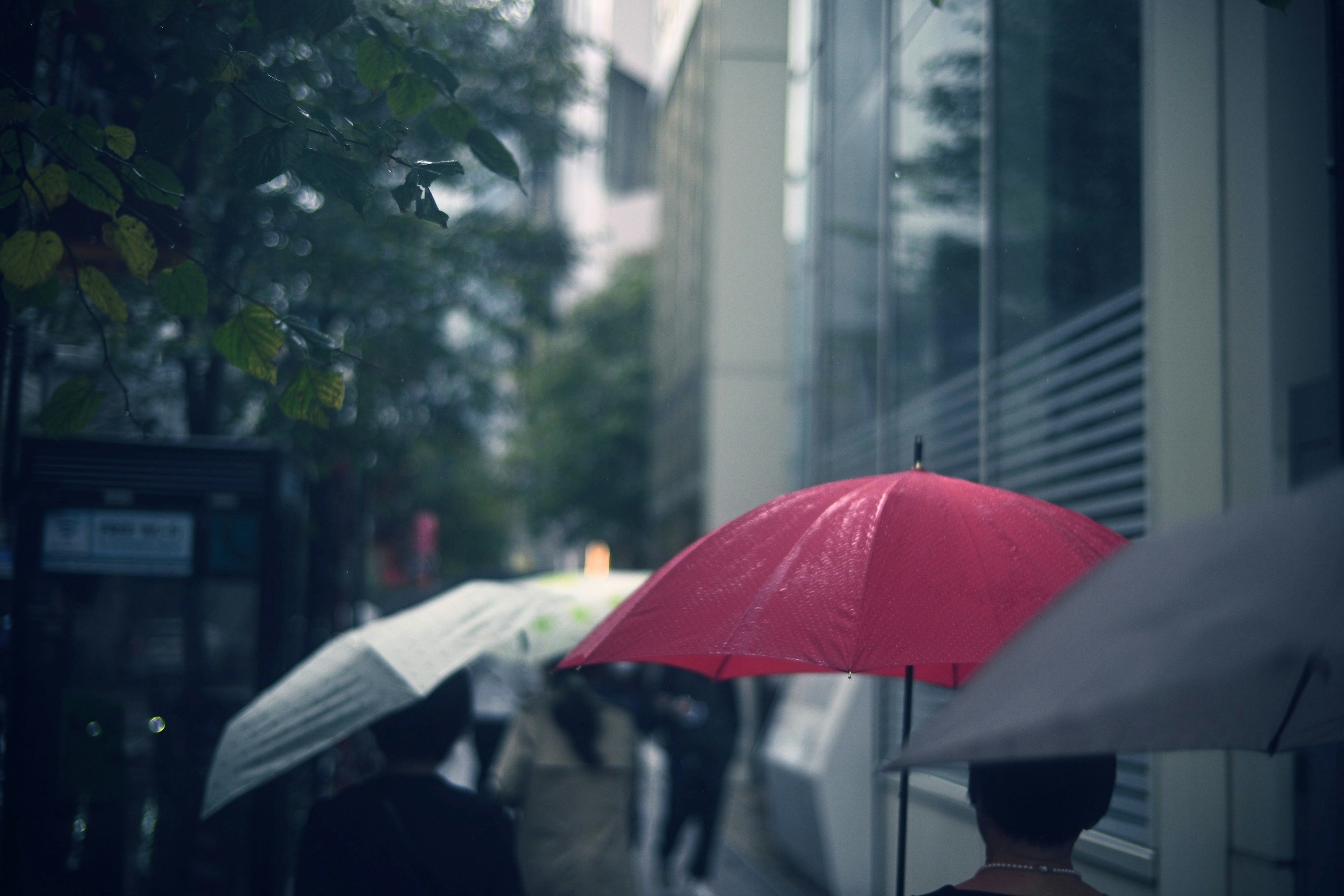 Des gens marchant sous la pluie avec un parapluie rouge