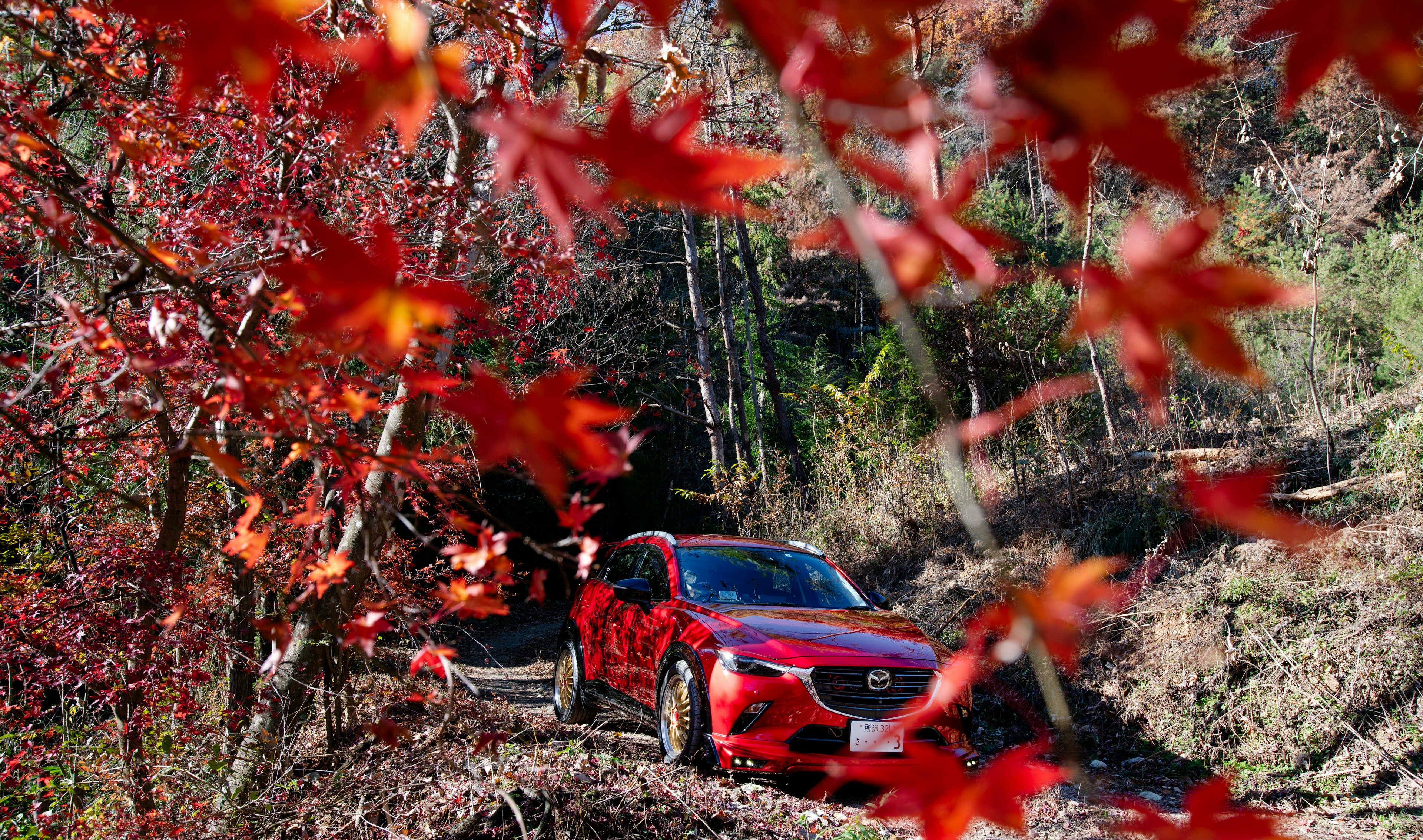 Ein rotes Auto umgeben von herbstlichem Laub