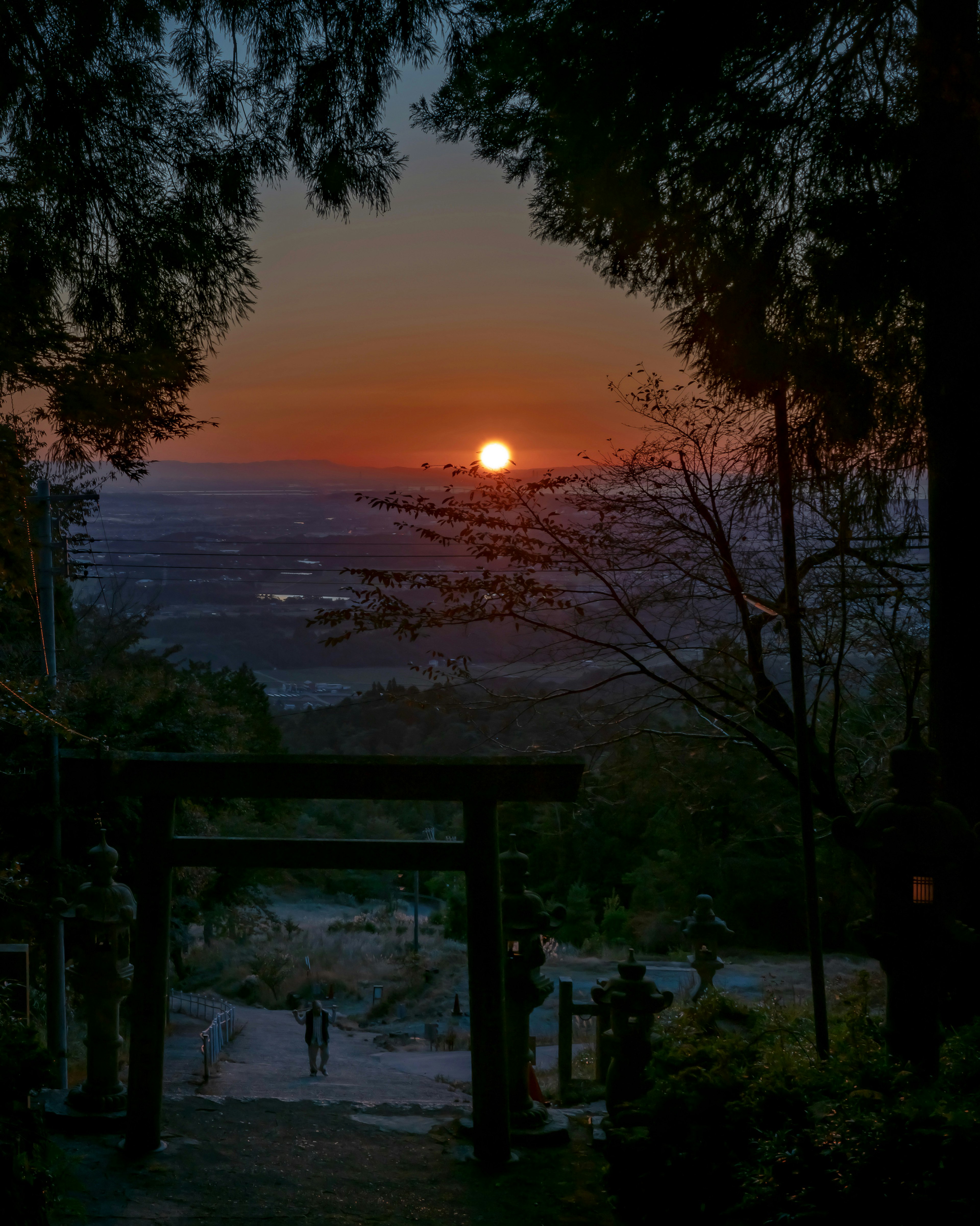 夕日が沈む風景に鳥居が映える静かな山道