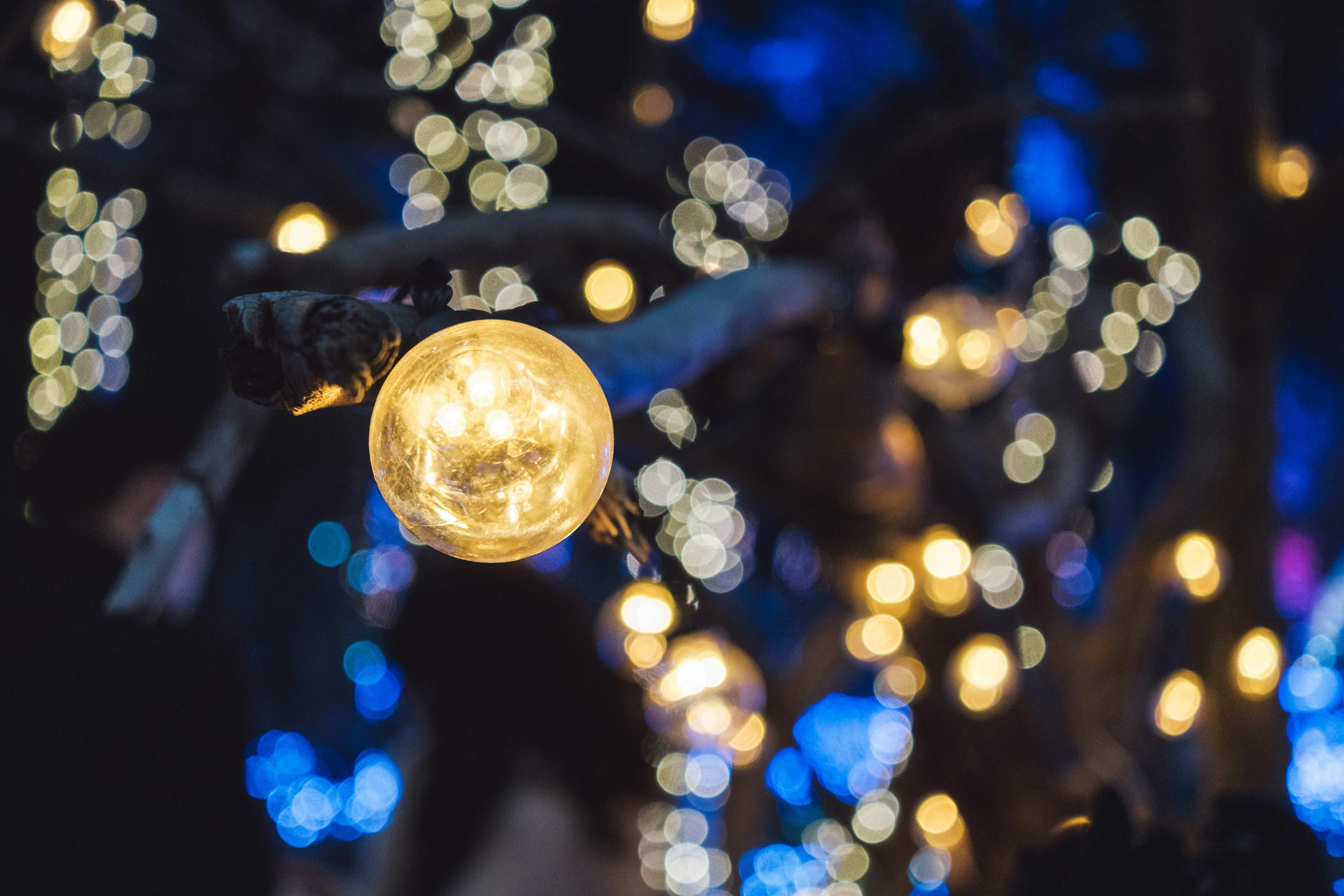 Una scena con luci decorative appese in un ambiente scuro