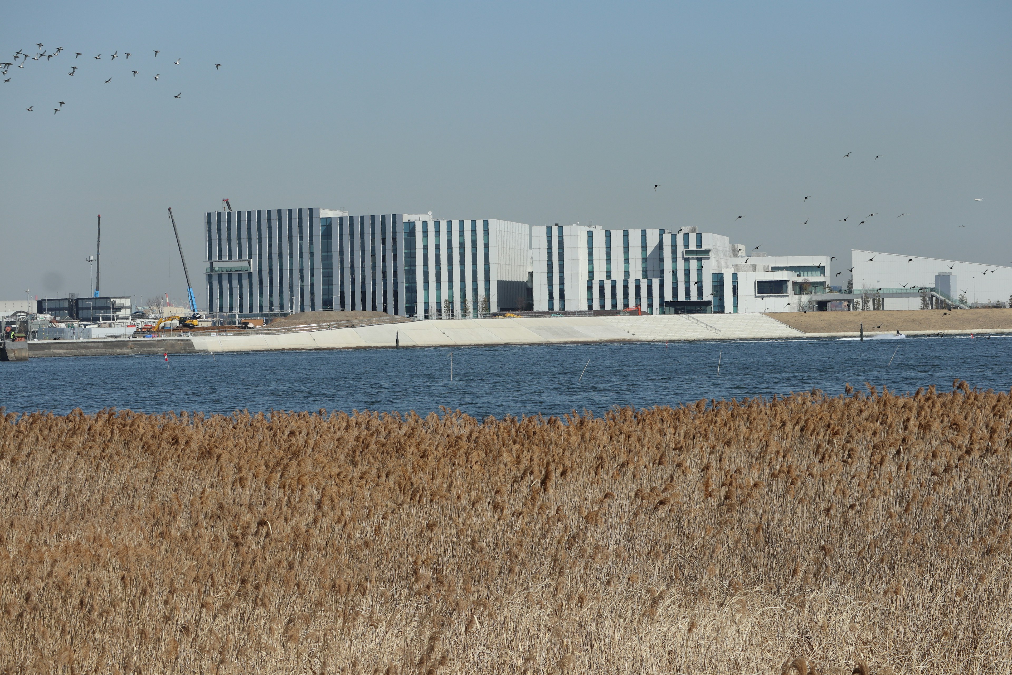 Edificio moderno junto al agua con hierba seca en primer plano