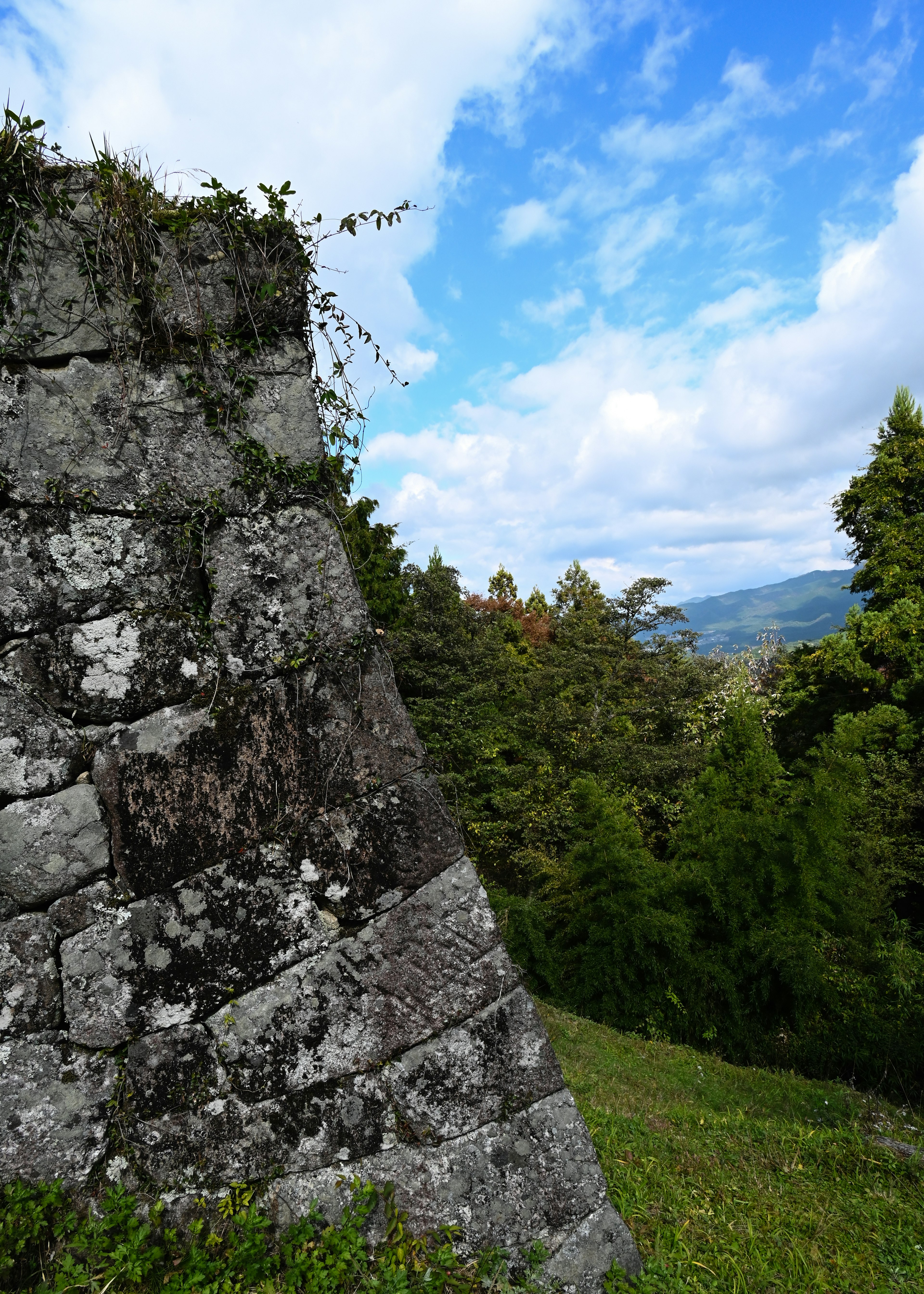 Antico muro di pietra con cielo blu e alberi verdi circostanti