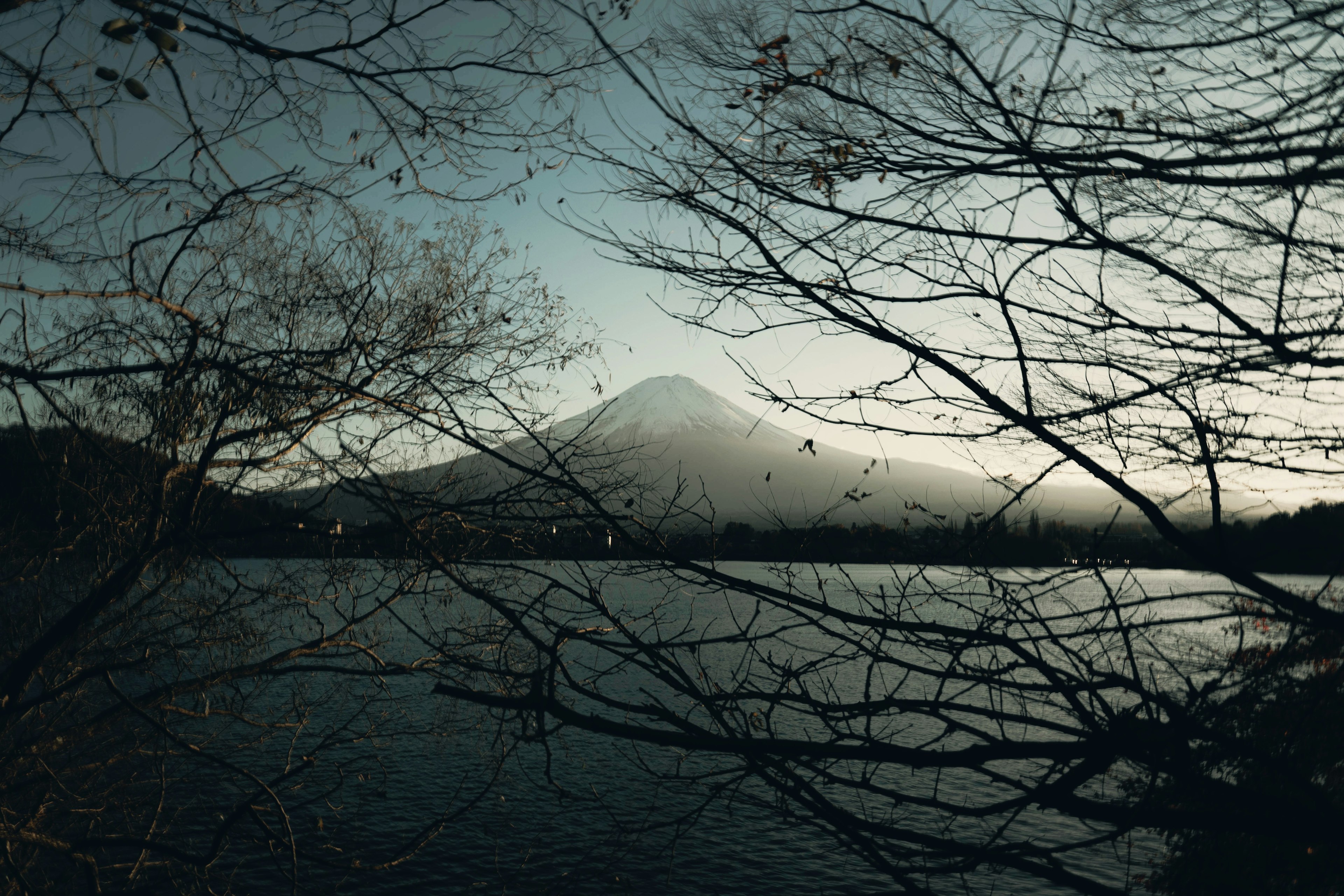 富士山を背景にした静かな湖の風景で、木々の枝が前景に映る