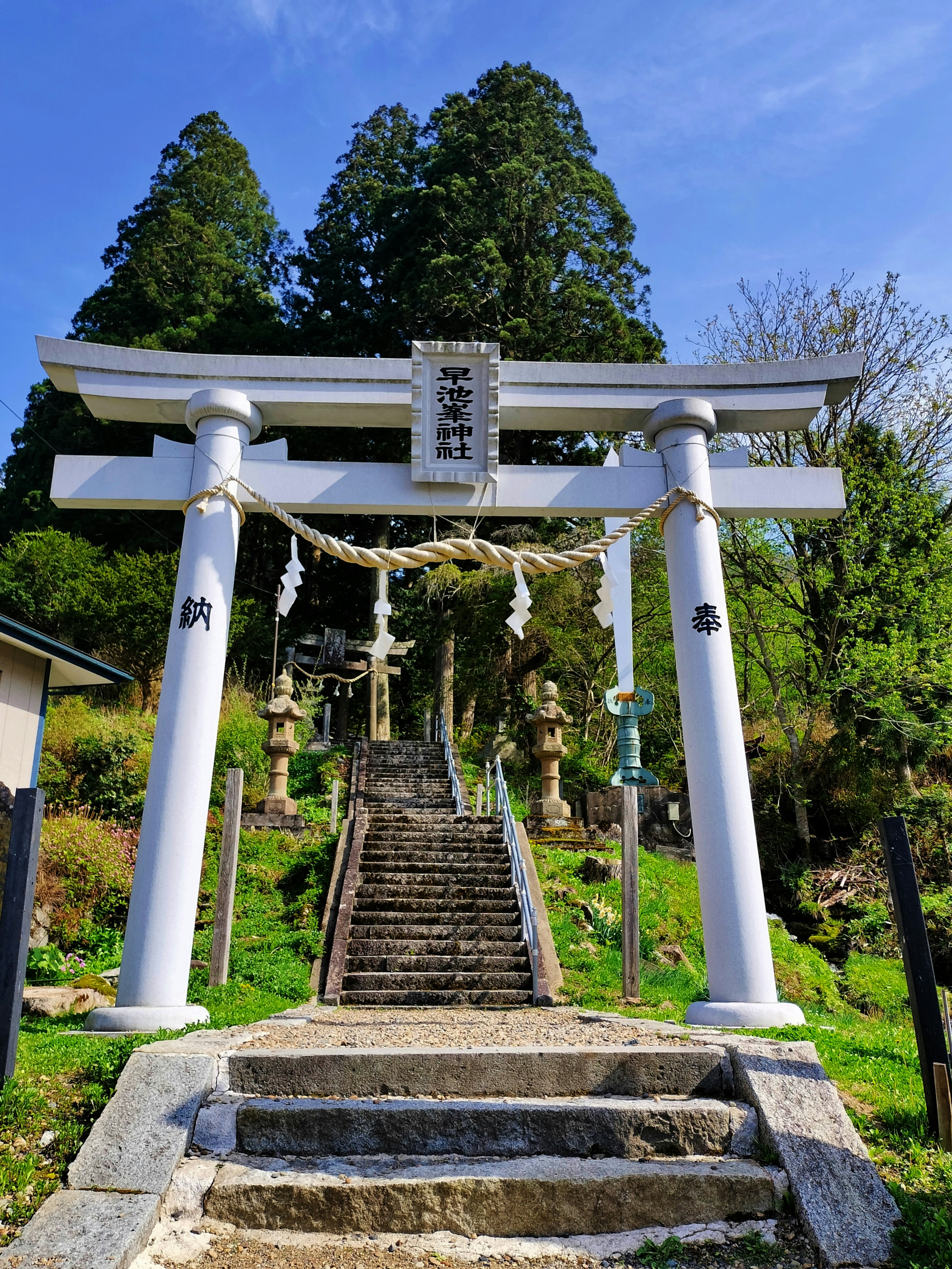 白色鳥居和通往神社的石階