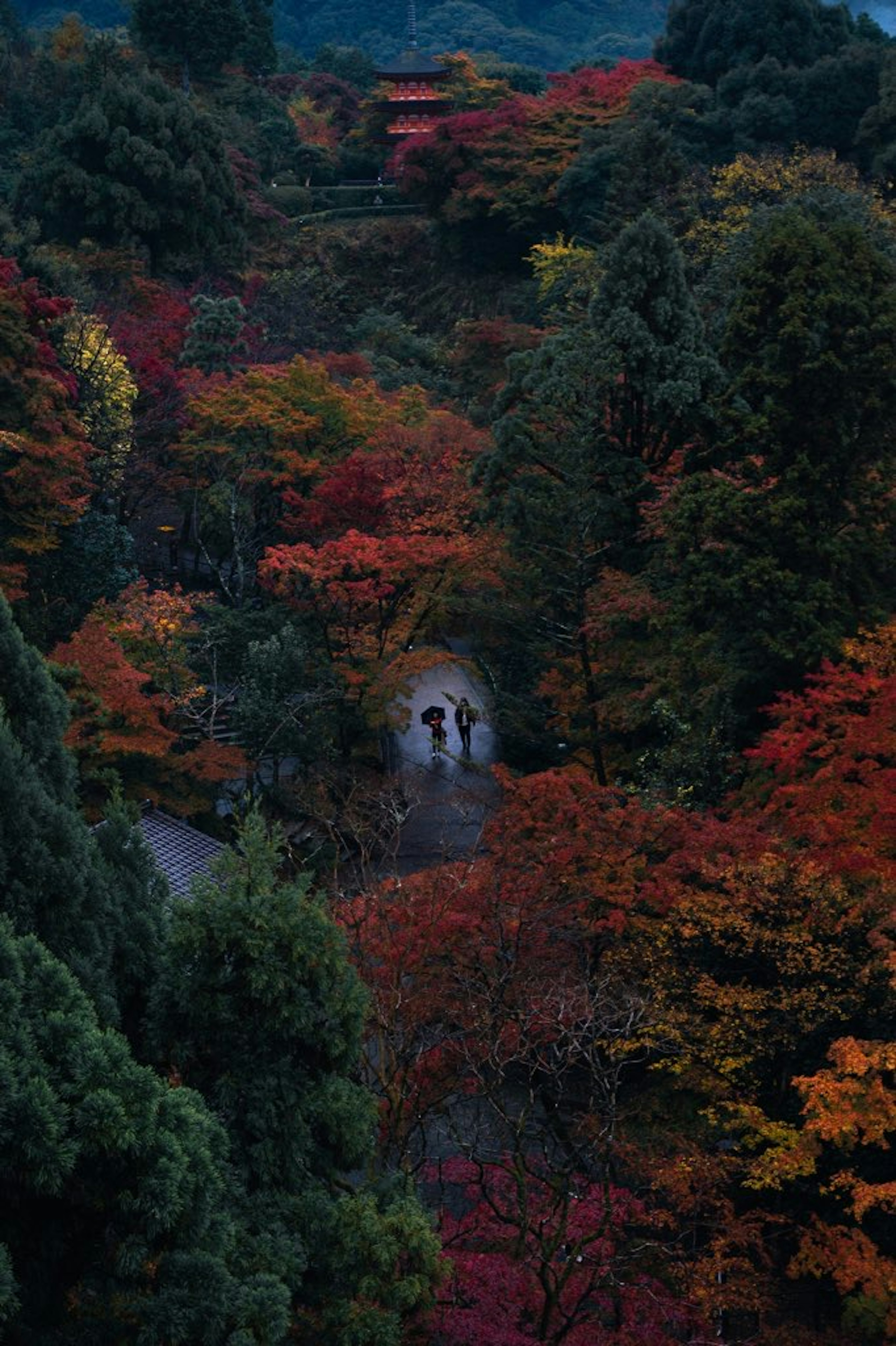 Un chemin serein entouré de feuillage d'automne et d'un tunnel en pierre