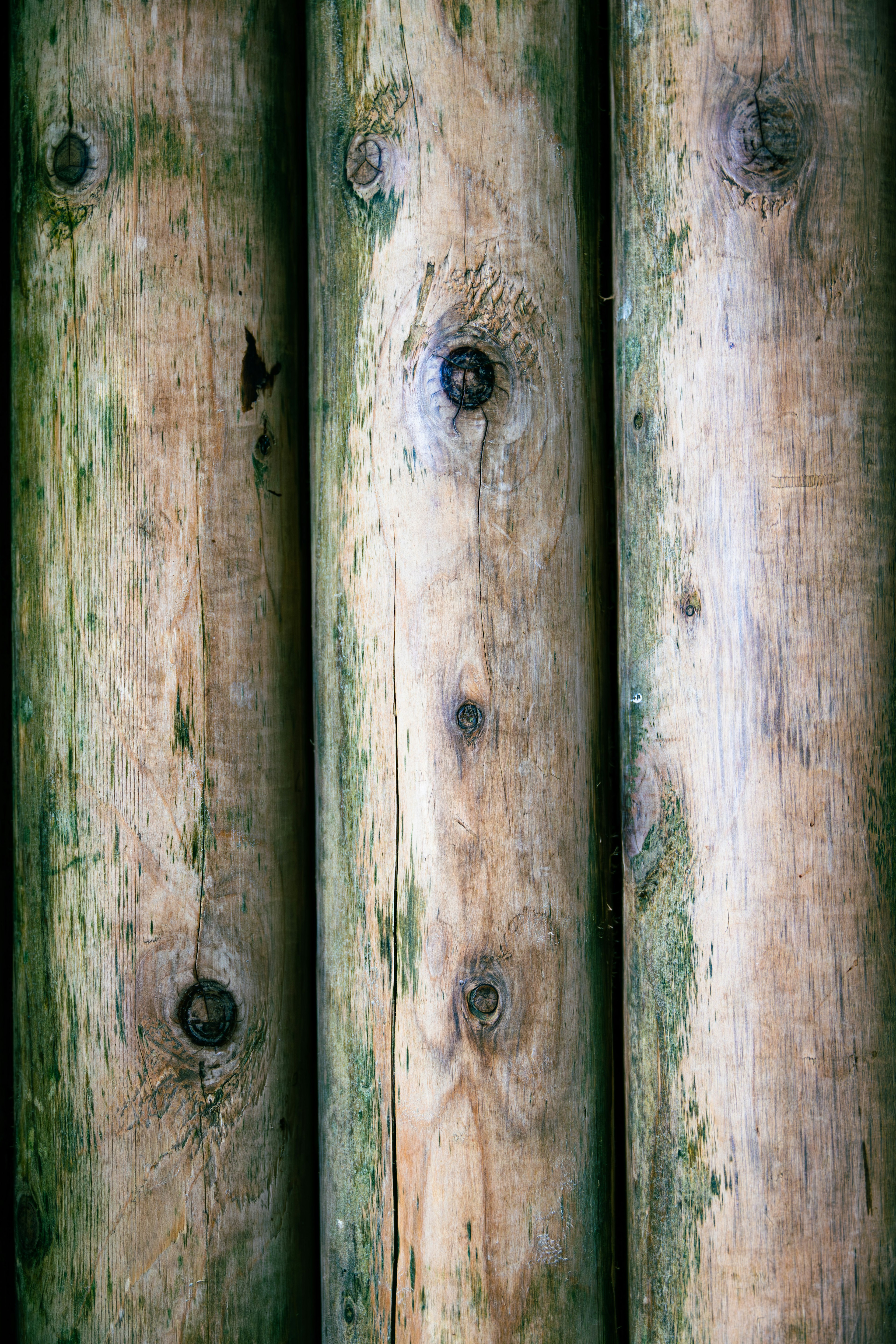 Image of wooden logs arranged vertically