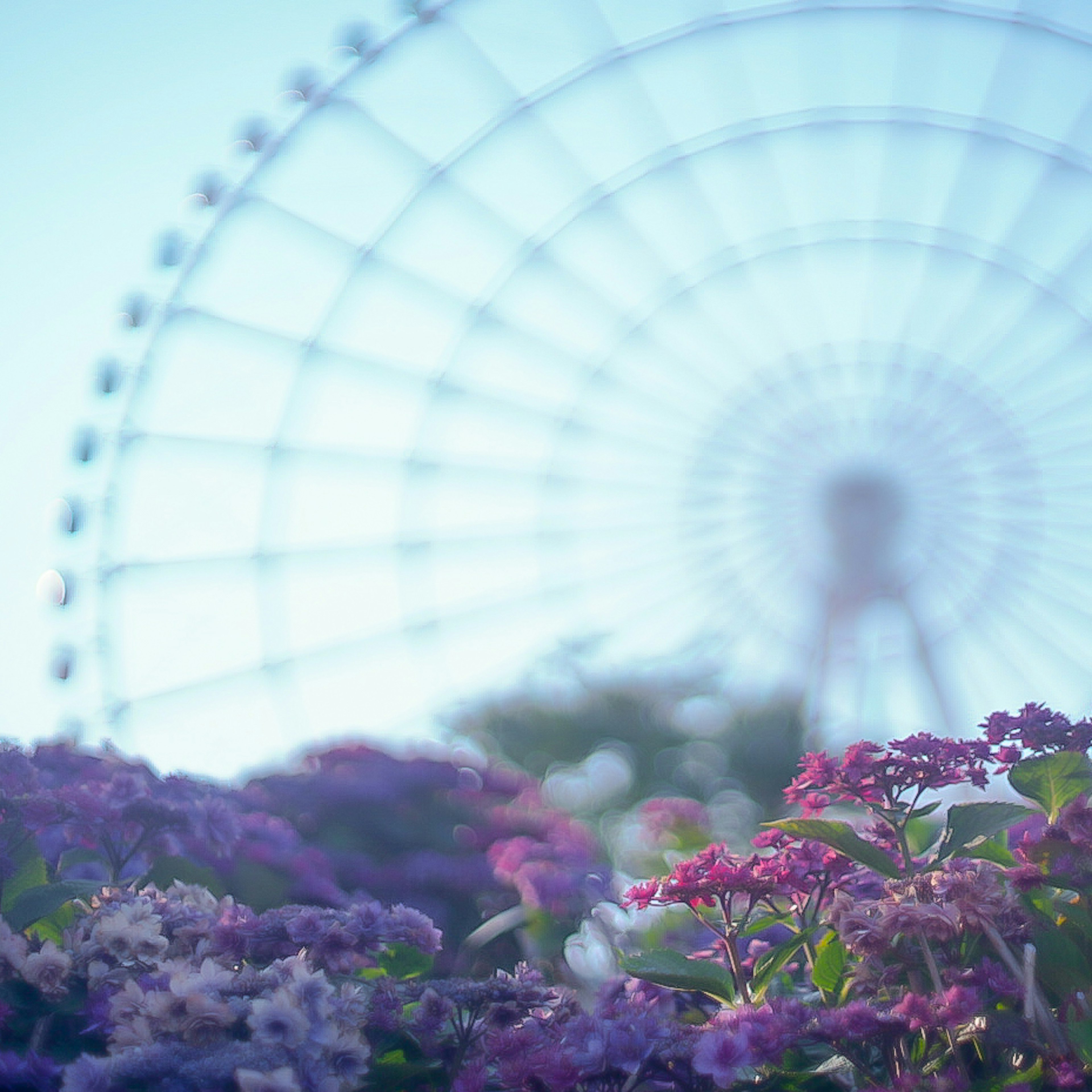 色とりどりの花が手前にあり、背景に大きな観覧車がぼやけて見える風景