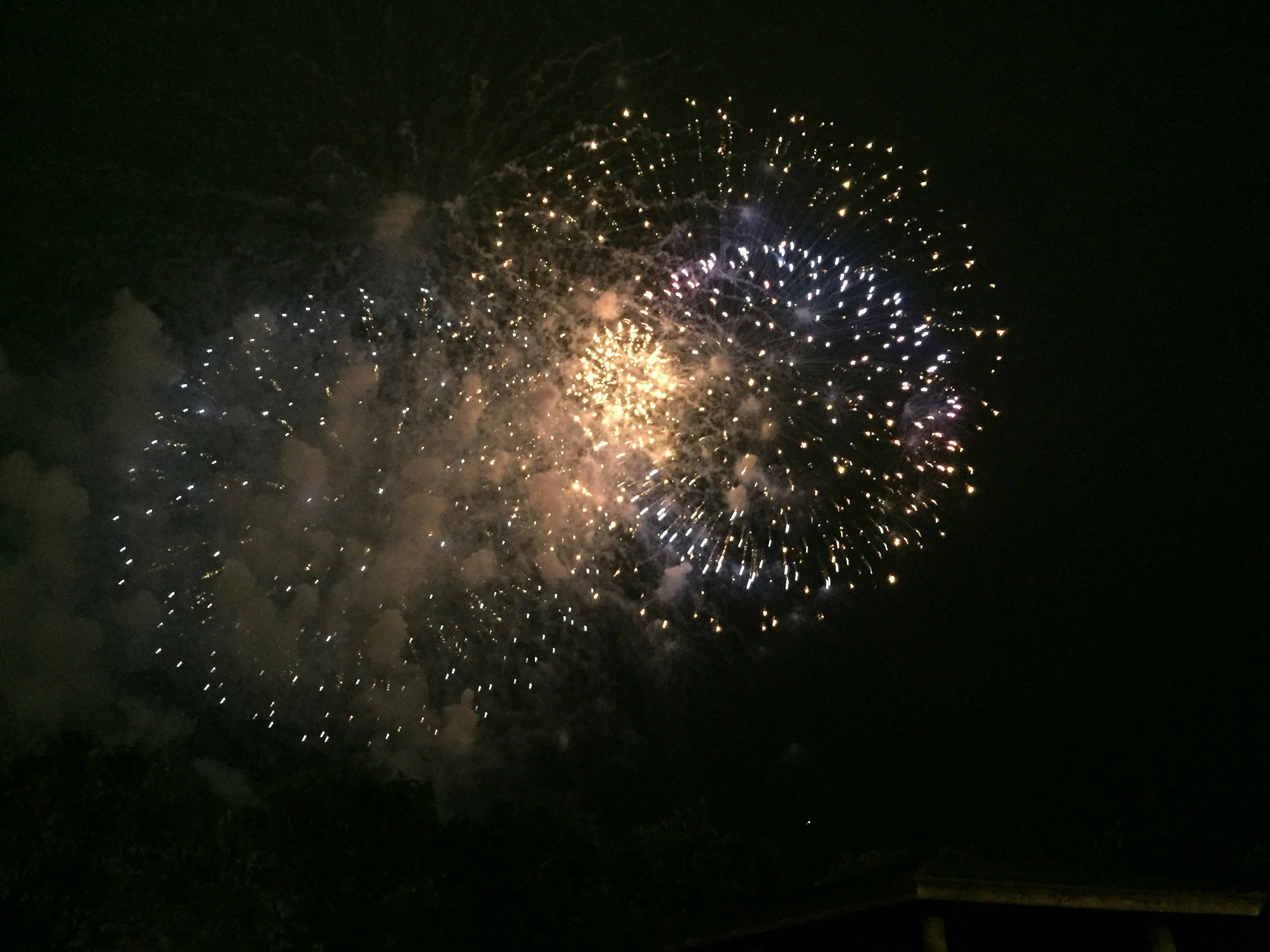 Bellissimo spettacolo di fuochi d'artificio nel cielo notturno