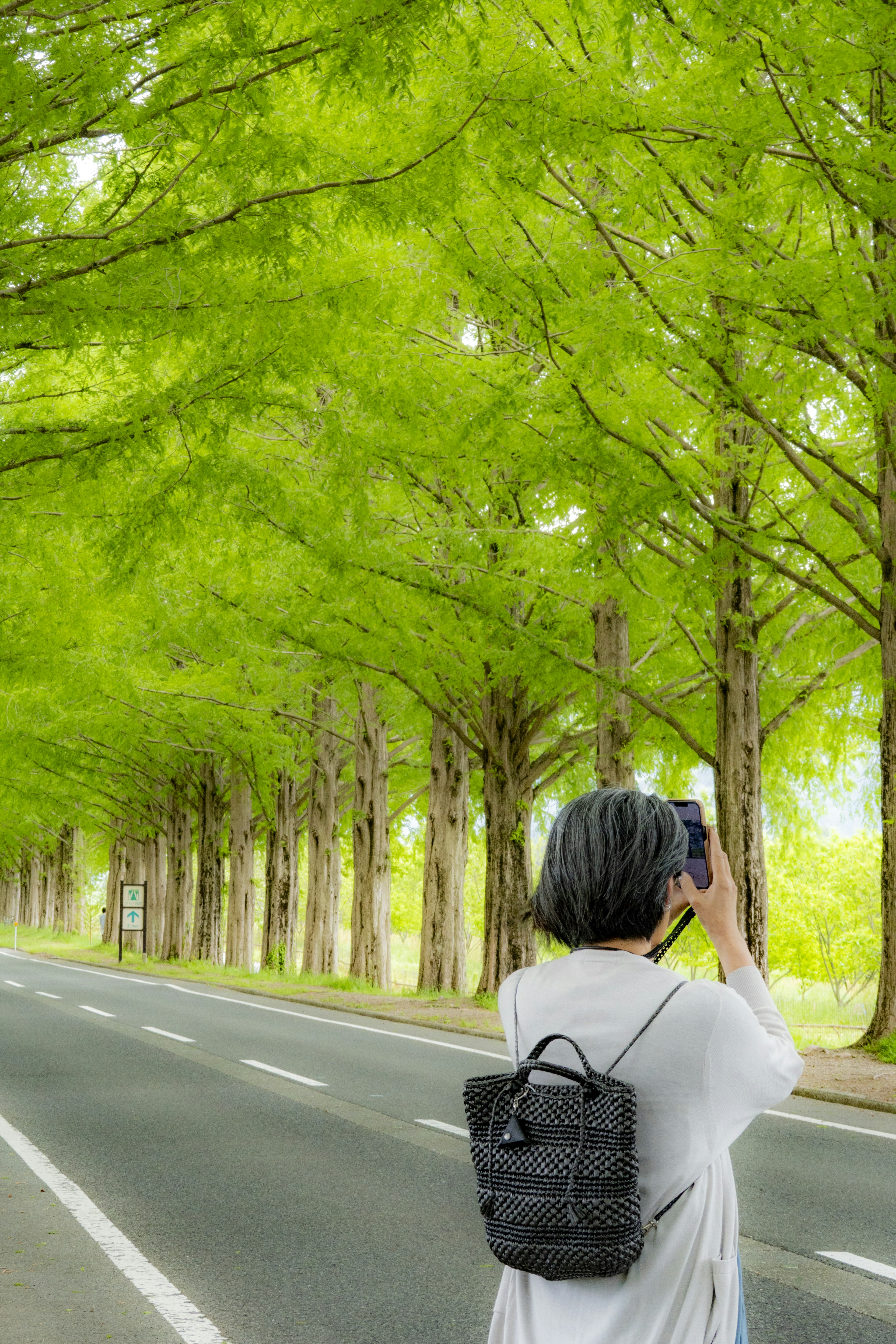 Woman taking a photo on a tree-lined road