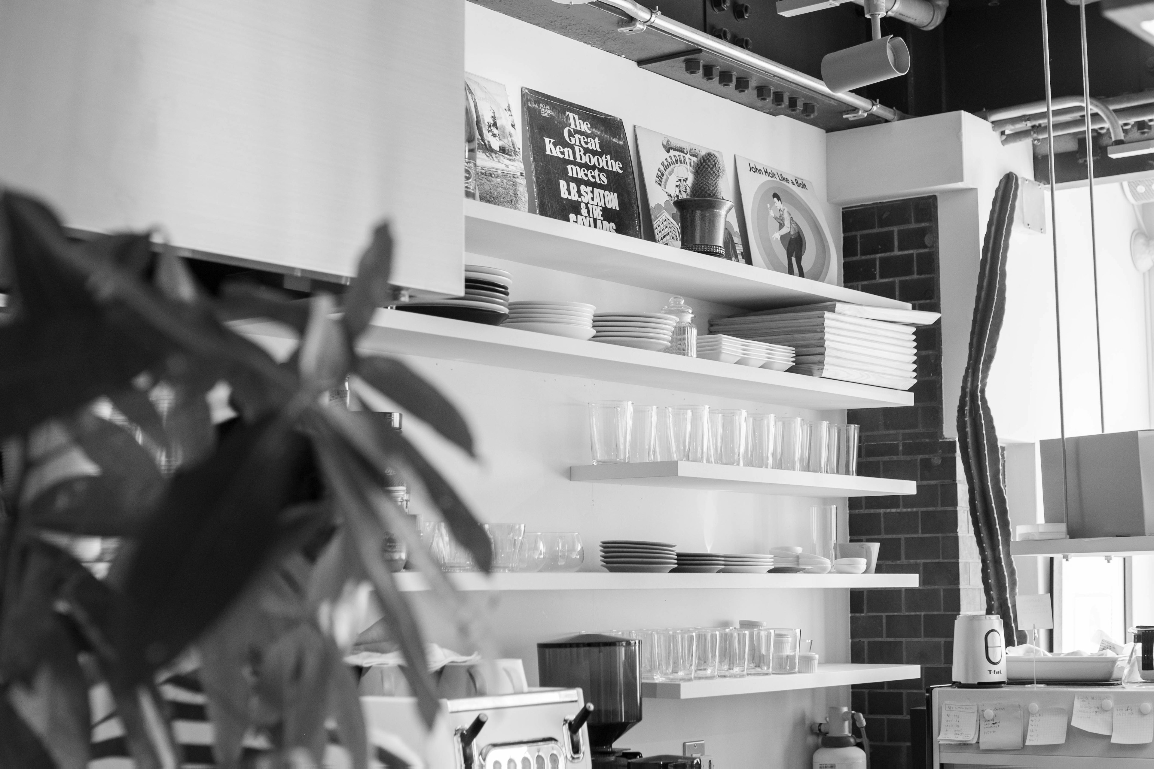 Interno di cucina in bianco e nero con scaffali che mostrano piatti e libri insieme a una pianta da appartamento