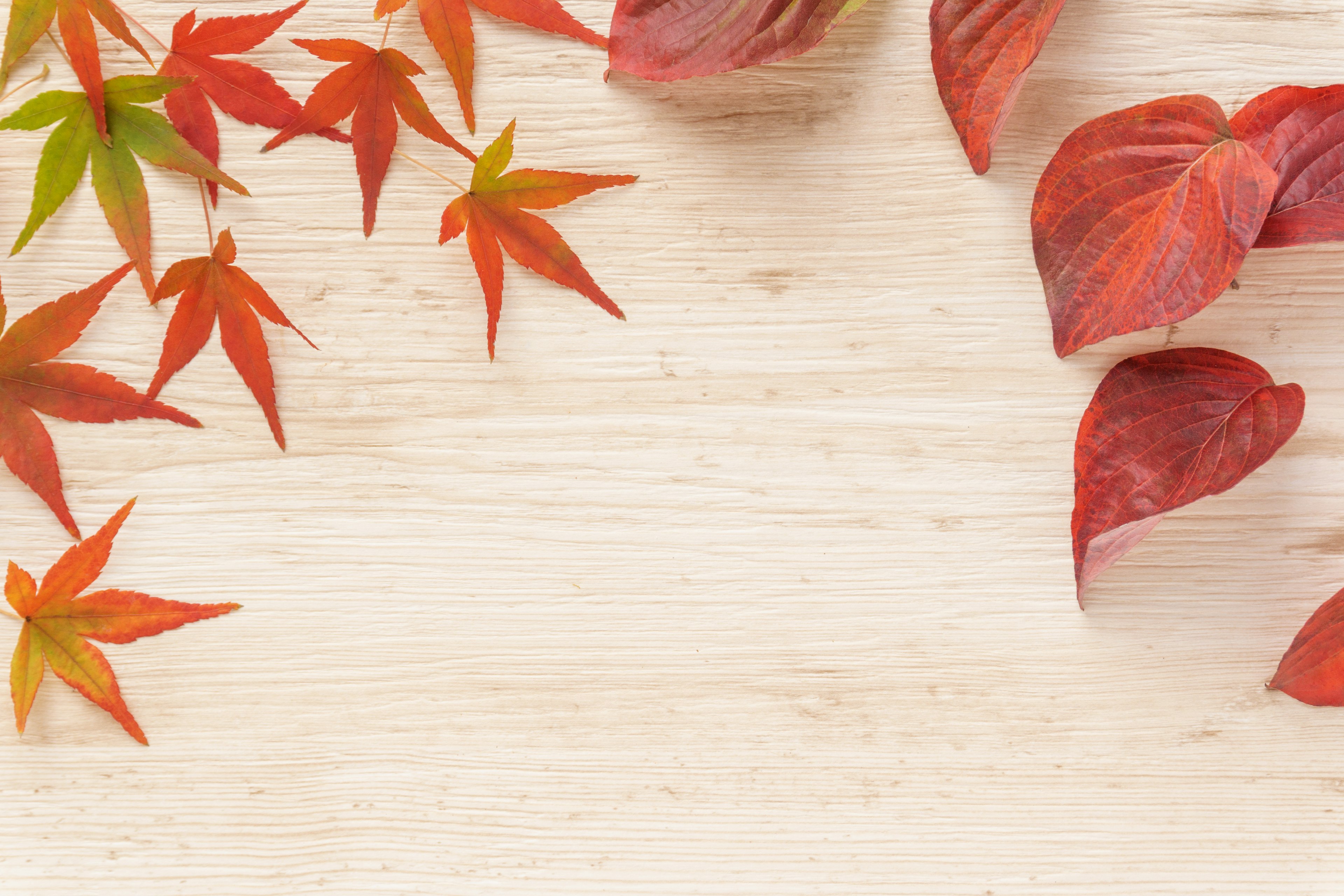 Herbstszene mit roten Blättern auf einem Holztisch