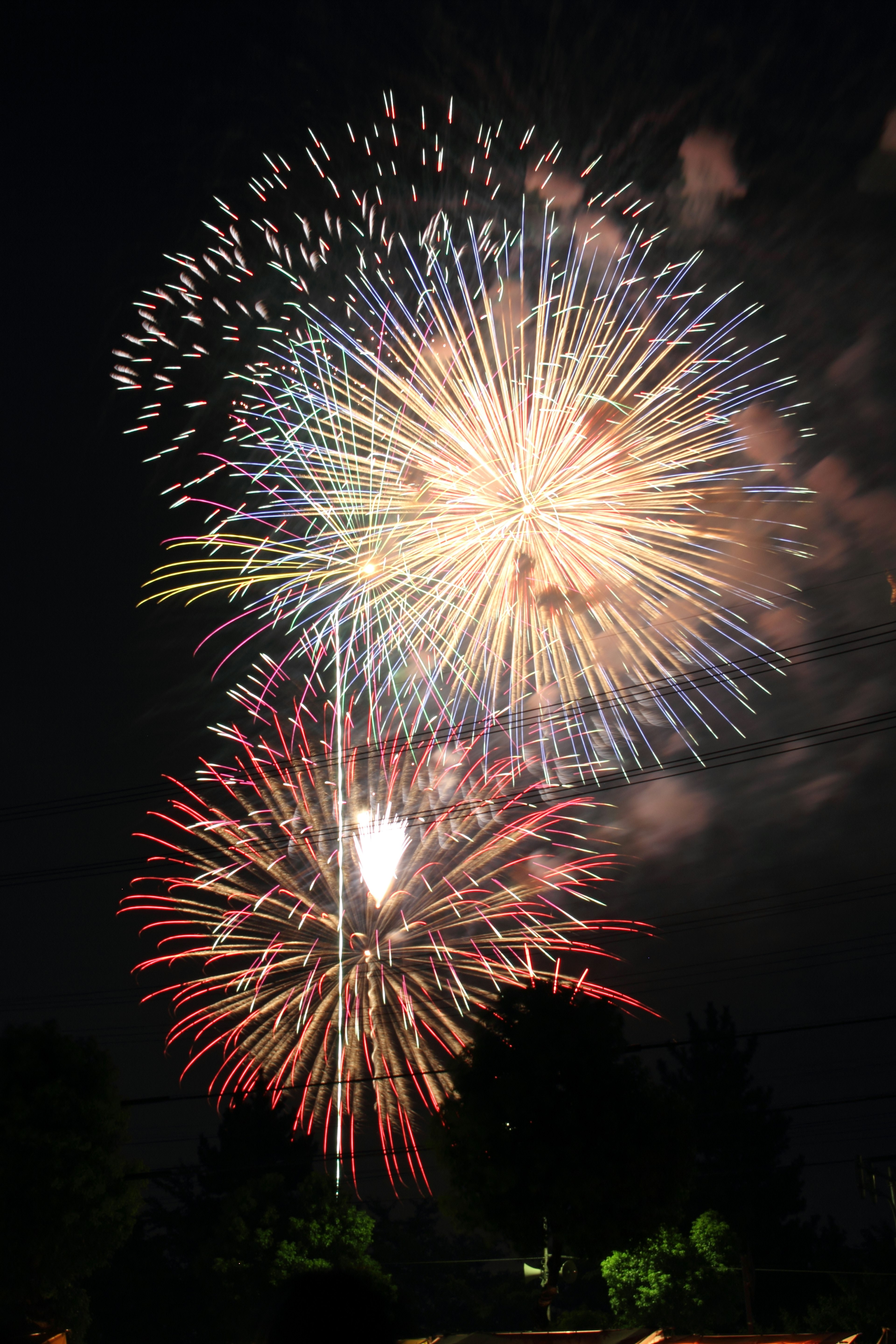 Colorful fireworks display in the night sky