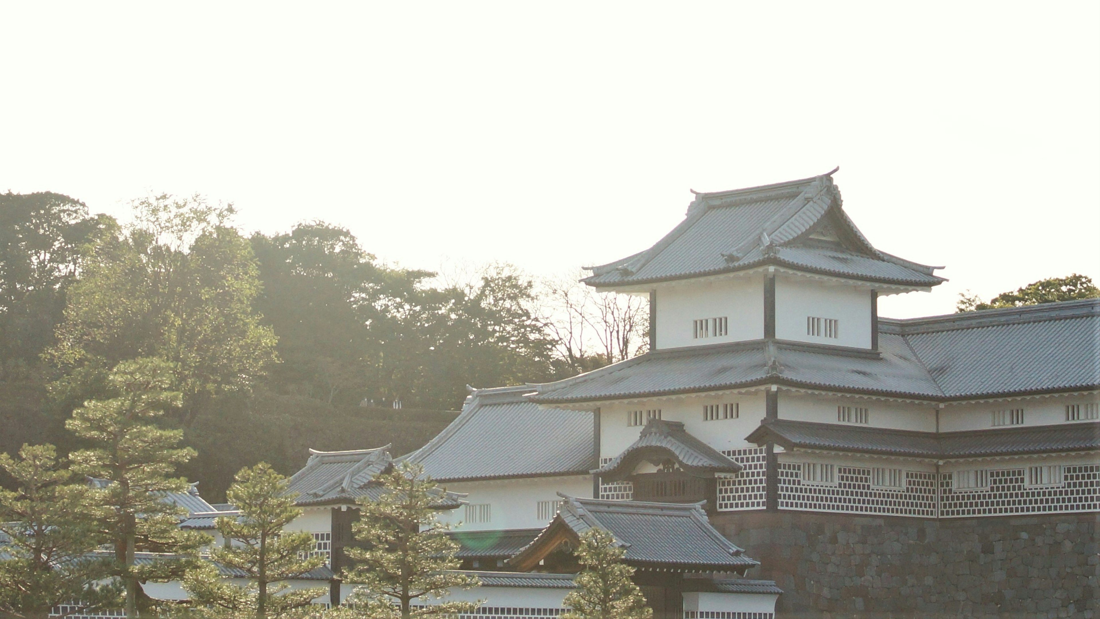 Pemandangan kastil Jepang yang indah dengan cahaya pagi yang tenang pohon hijau arsitektur tradisional