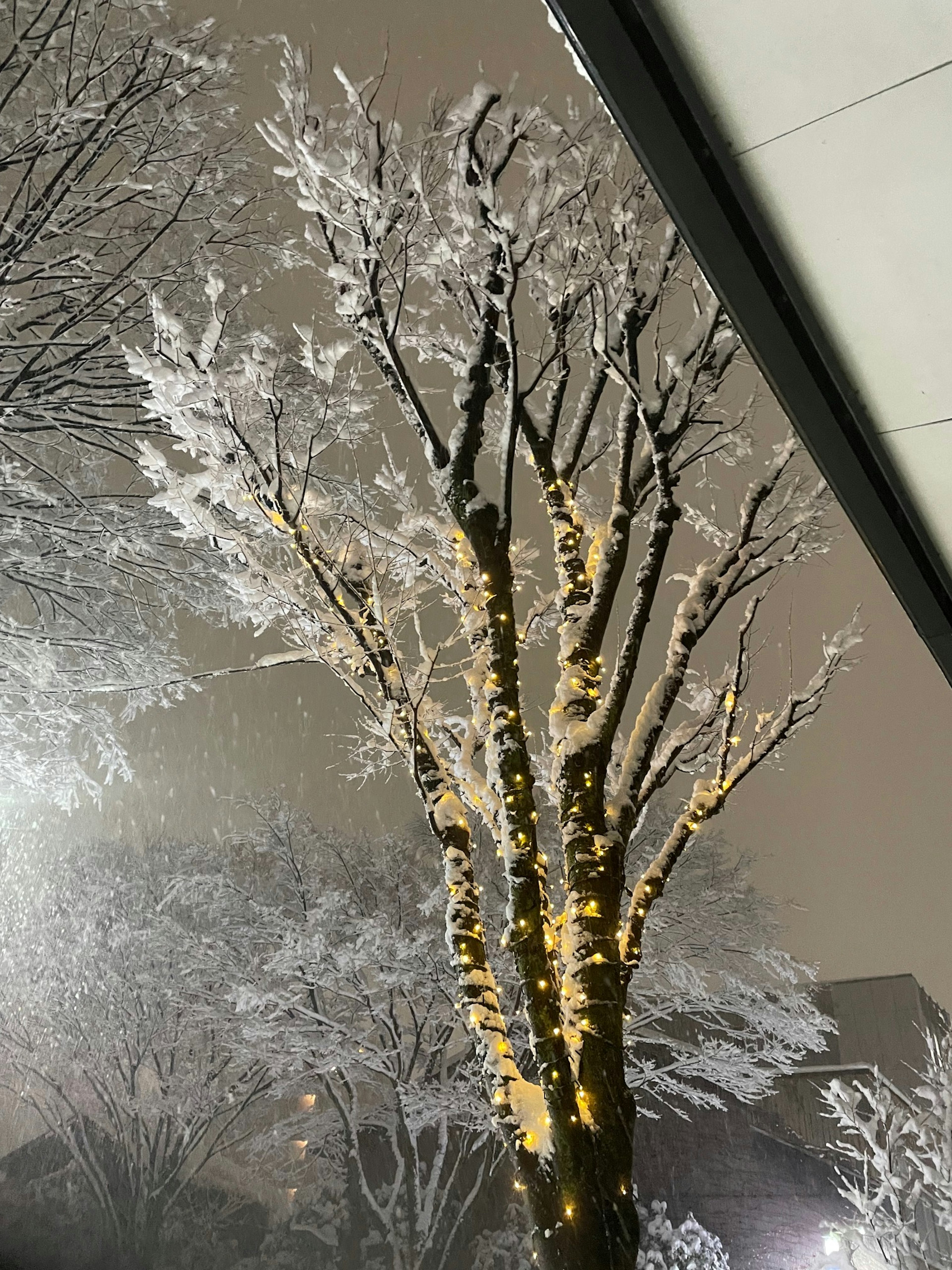 Schneebedeckter Baum mit dekorativen Lichtern in einer Winterlandschaft